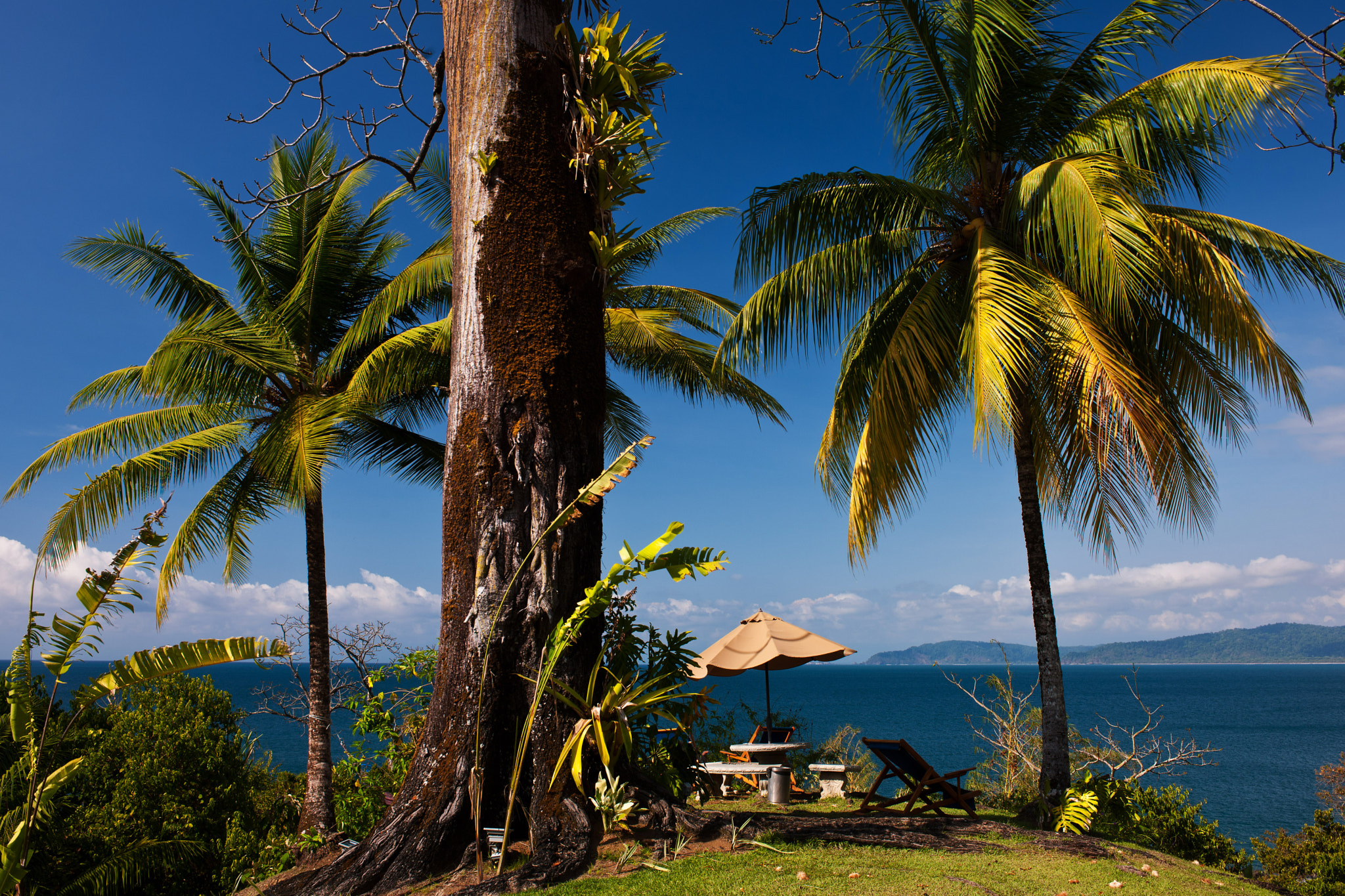 Nikon D3X sample photo. [ pura vida...] photography