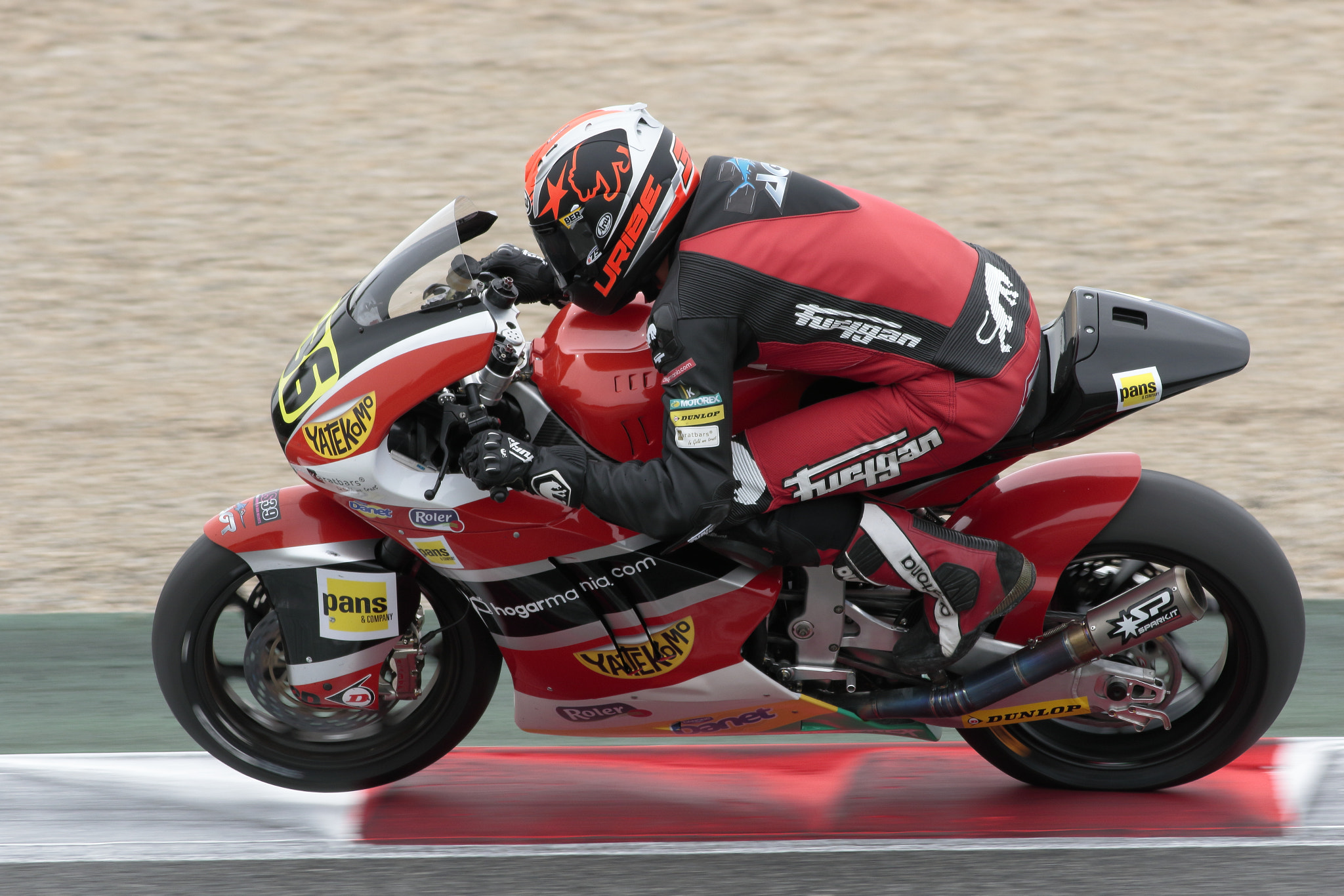 Canon EF 400mm F5.6L USM sample photo. Uribe photography