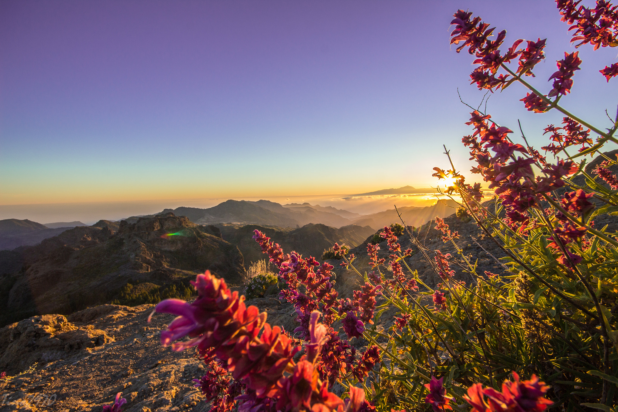 Sigma 10-20mm F4-5.6 EX DC HSM sample photo. Atardecer desde el nublo photography