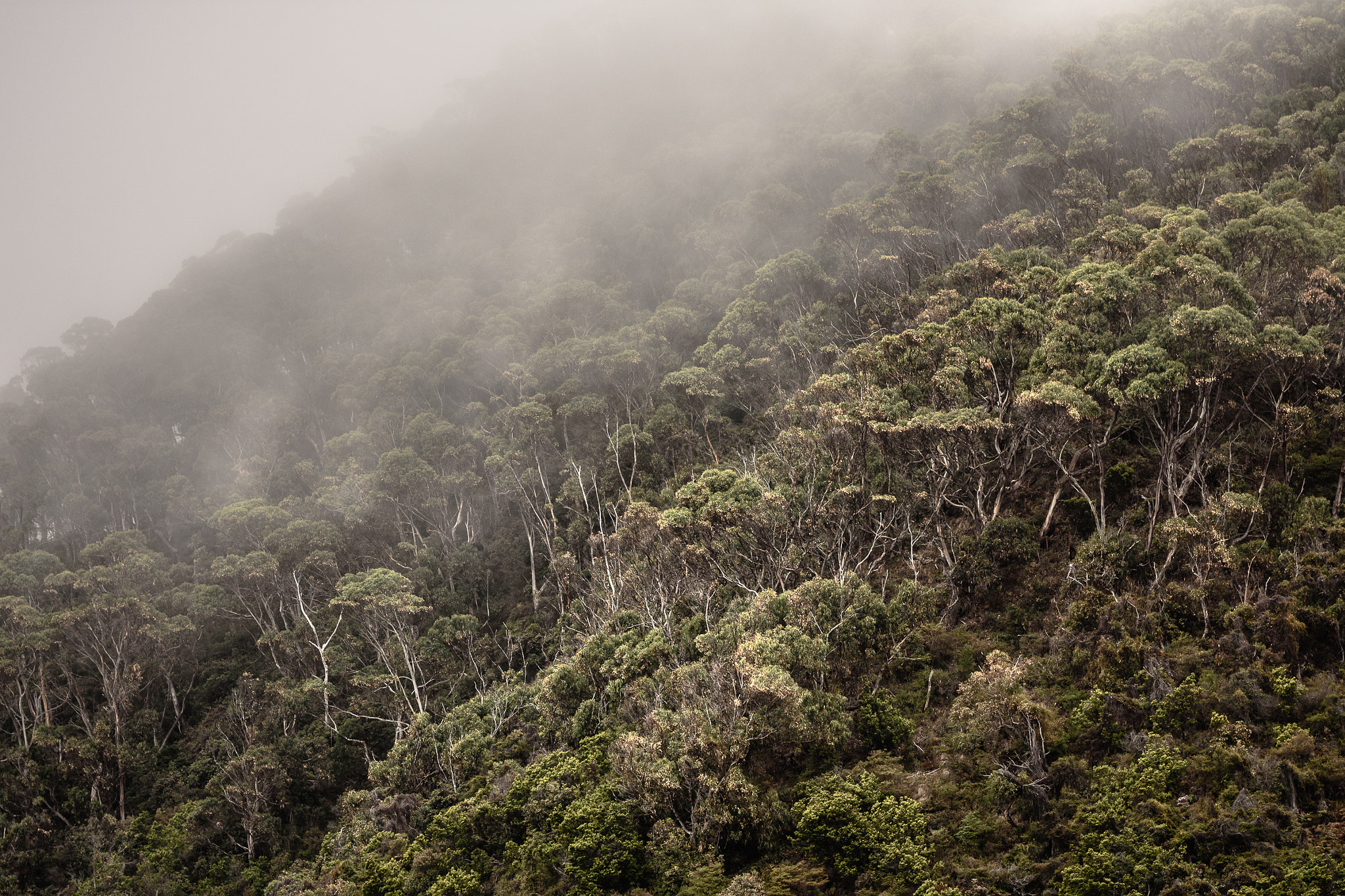 Nikon AF-S Nikkor 70-200mm F4G ED VR sample photo. Great ocean road photography