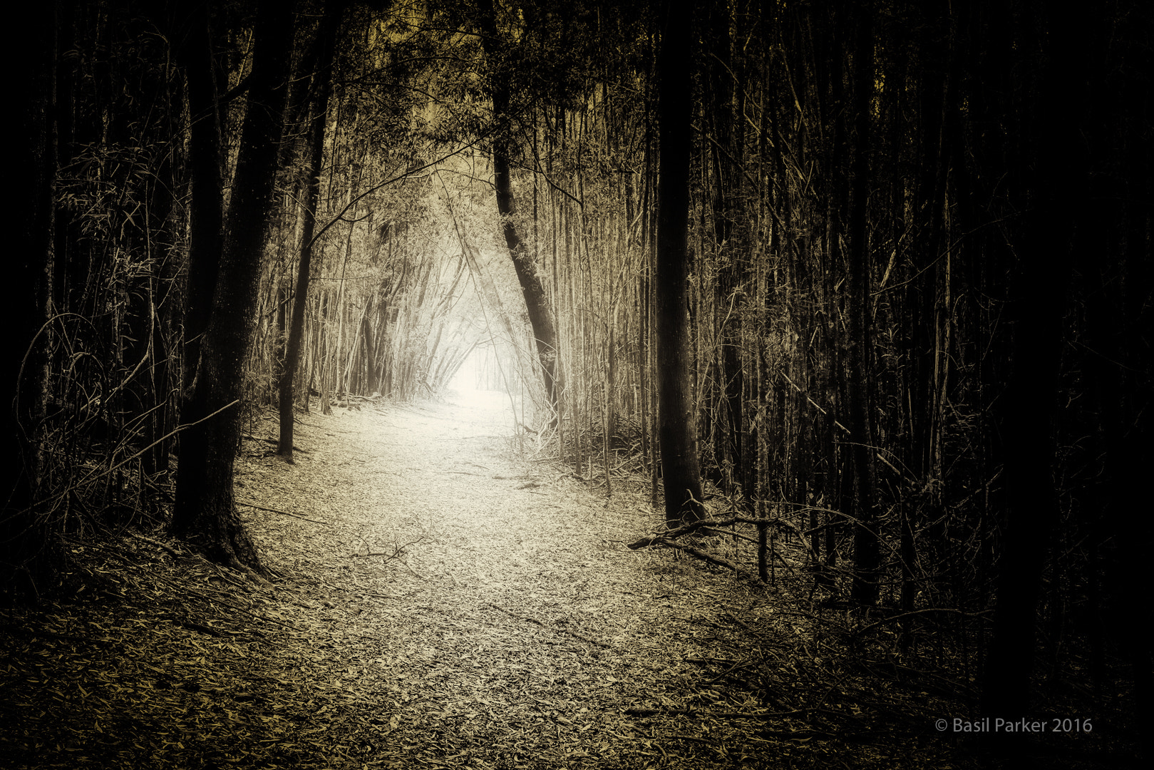 Sony a7R II + Sigma 35mm F1.4 DG HSM Art sample photo. Hobbit lane photography