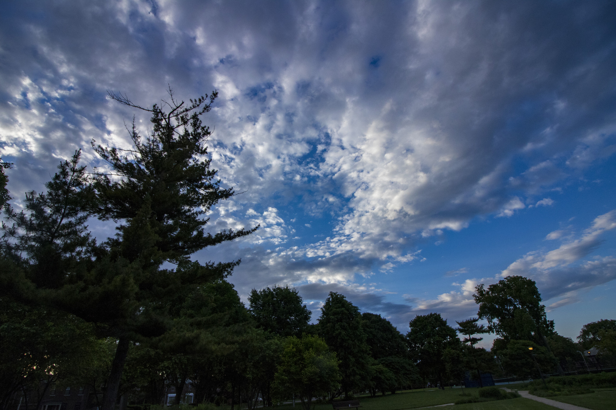 Canon EF-S 10-18mm F4.5–5.6 IS STM sample photo. Oak park il sky at sunset photography