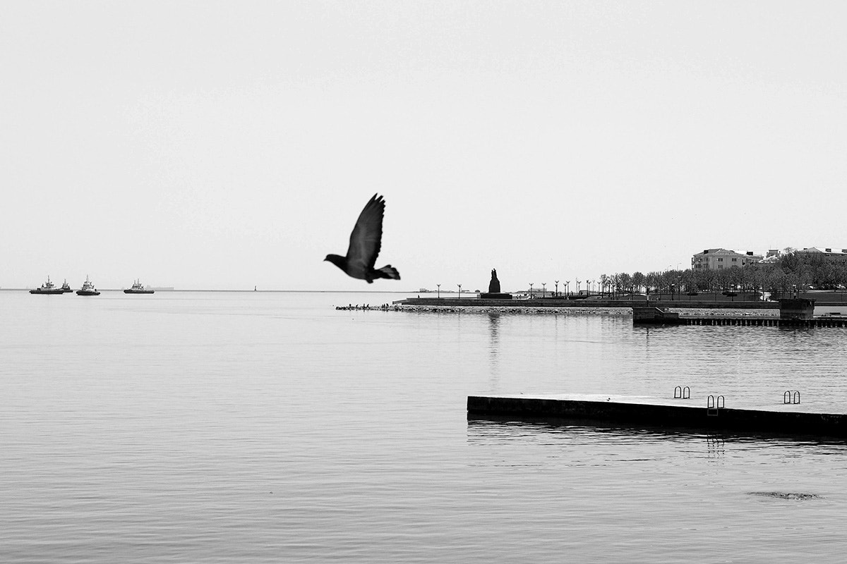 Olympus PEN E-PM2 sample photo. *** photography