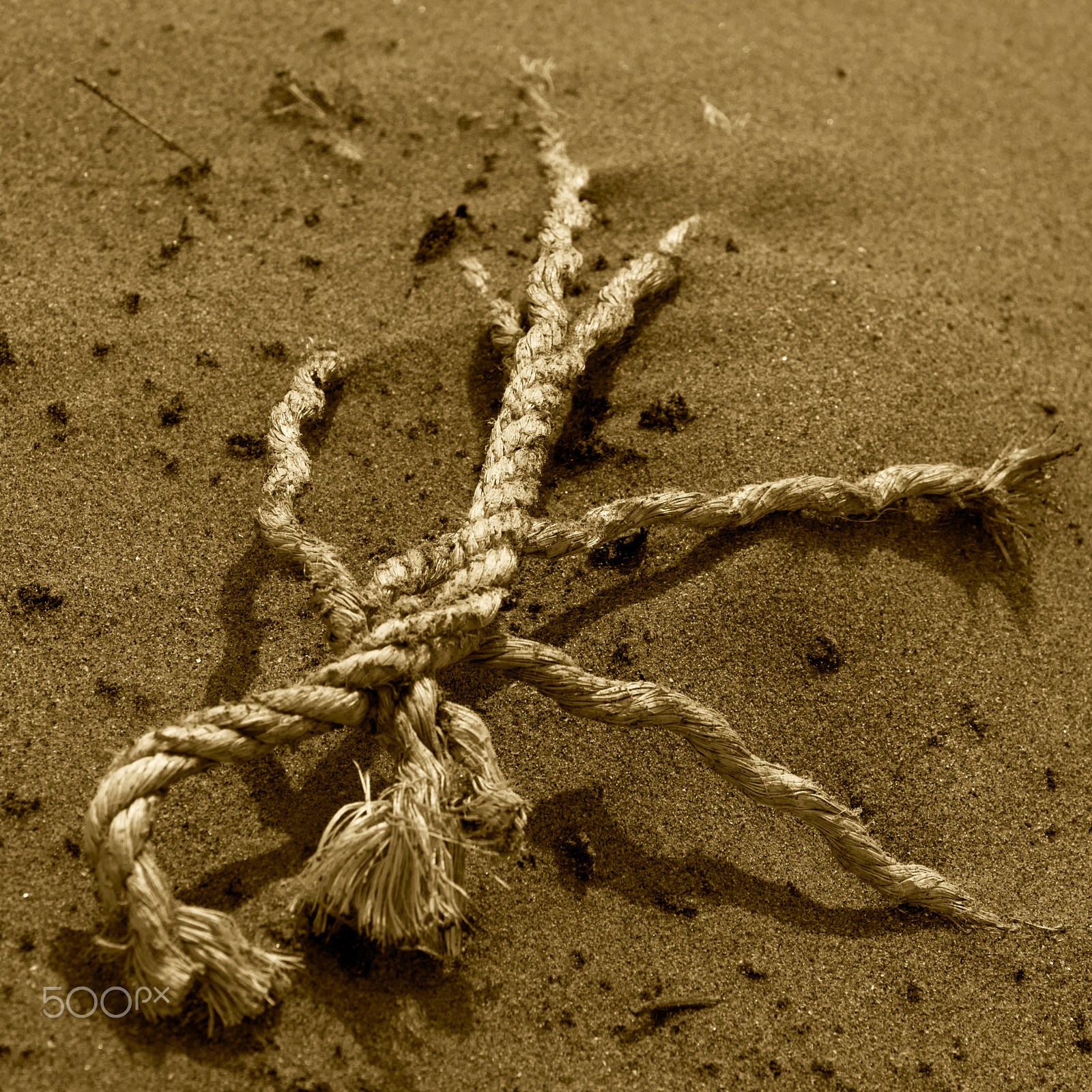 Sony ILCA-77M2 + Sigma 30mm F1.4 EX DC HSM sample photo. Rope in the sand photography