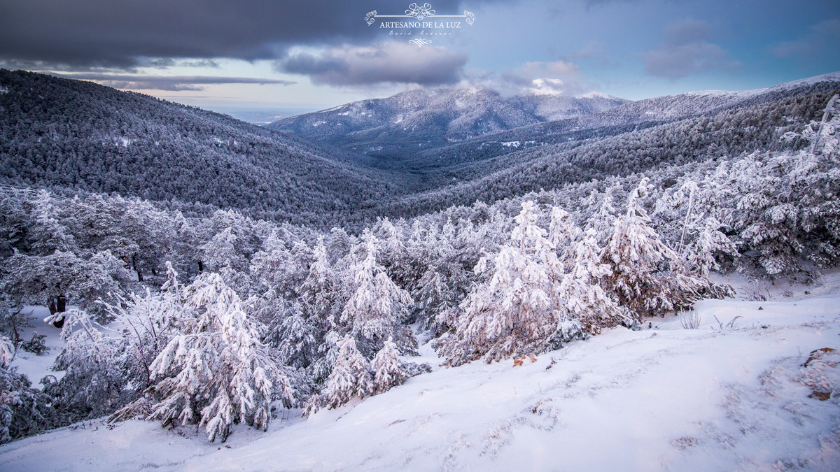 Canon EOS-1D X + Canon EF 300mm f/2.8L sample photo. The winter is coming photography