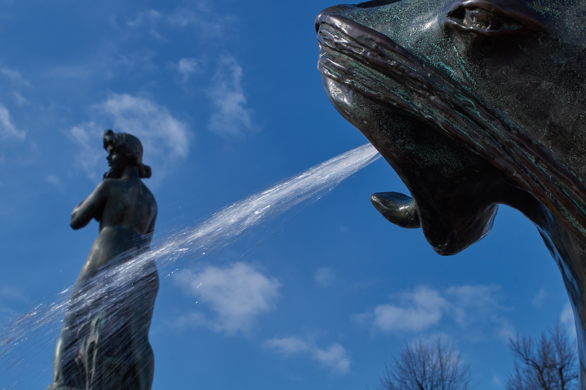 Sony SLT-A58 + Sony DT 35mm F1.8 SAM sample photo. Havis amanda fountain photography