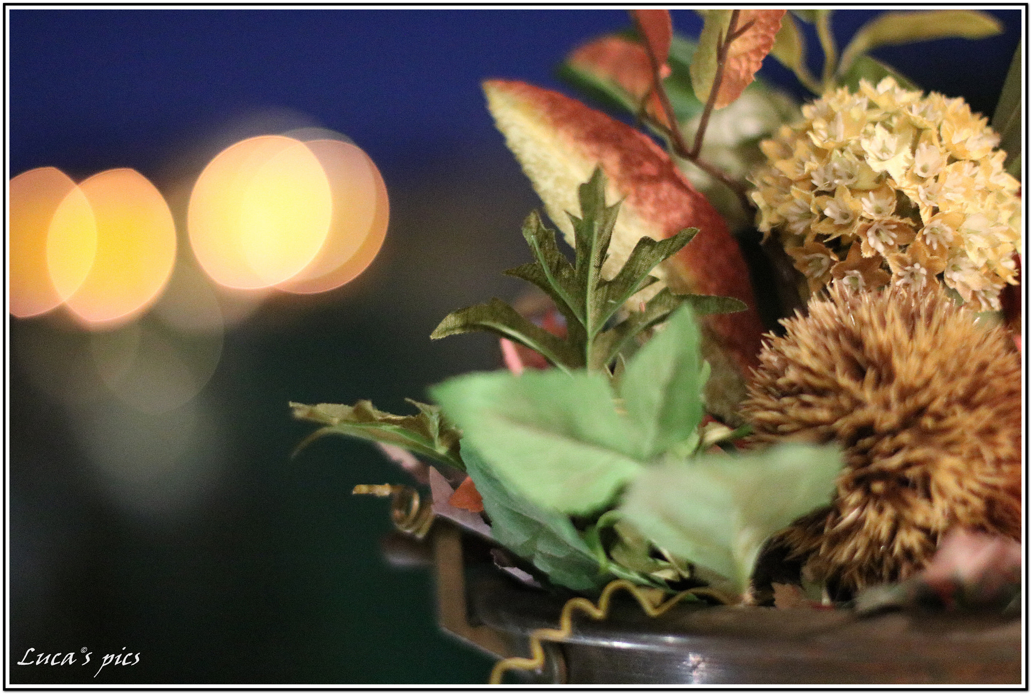 Canon EOS 750D (EOS Rebel T6i / EOS Kiss X8i) + Canon EF 50mm F1.4 USM sample photo. Loriana's dried flowers photography