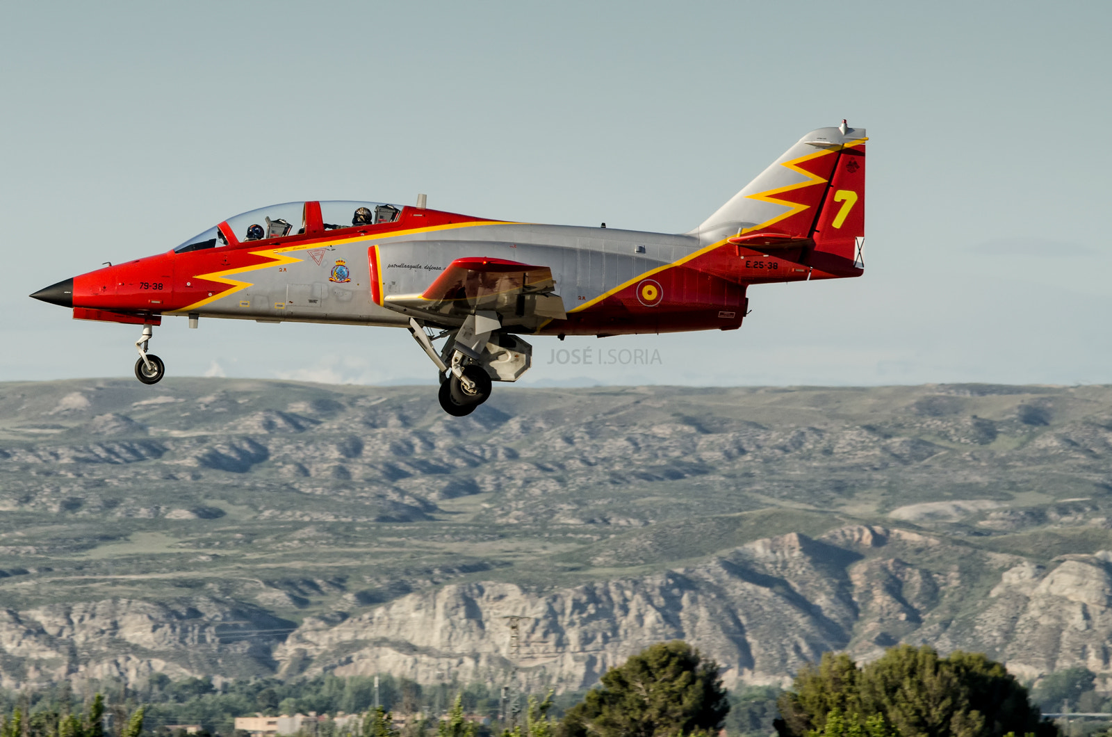 Sigma 120-400mm F4.5-5.6 DG OS HSM sample photo. Águila 7. photography