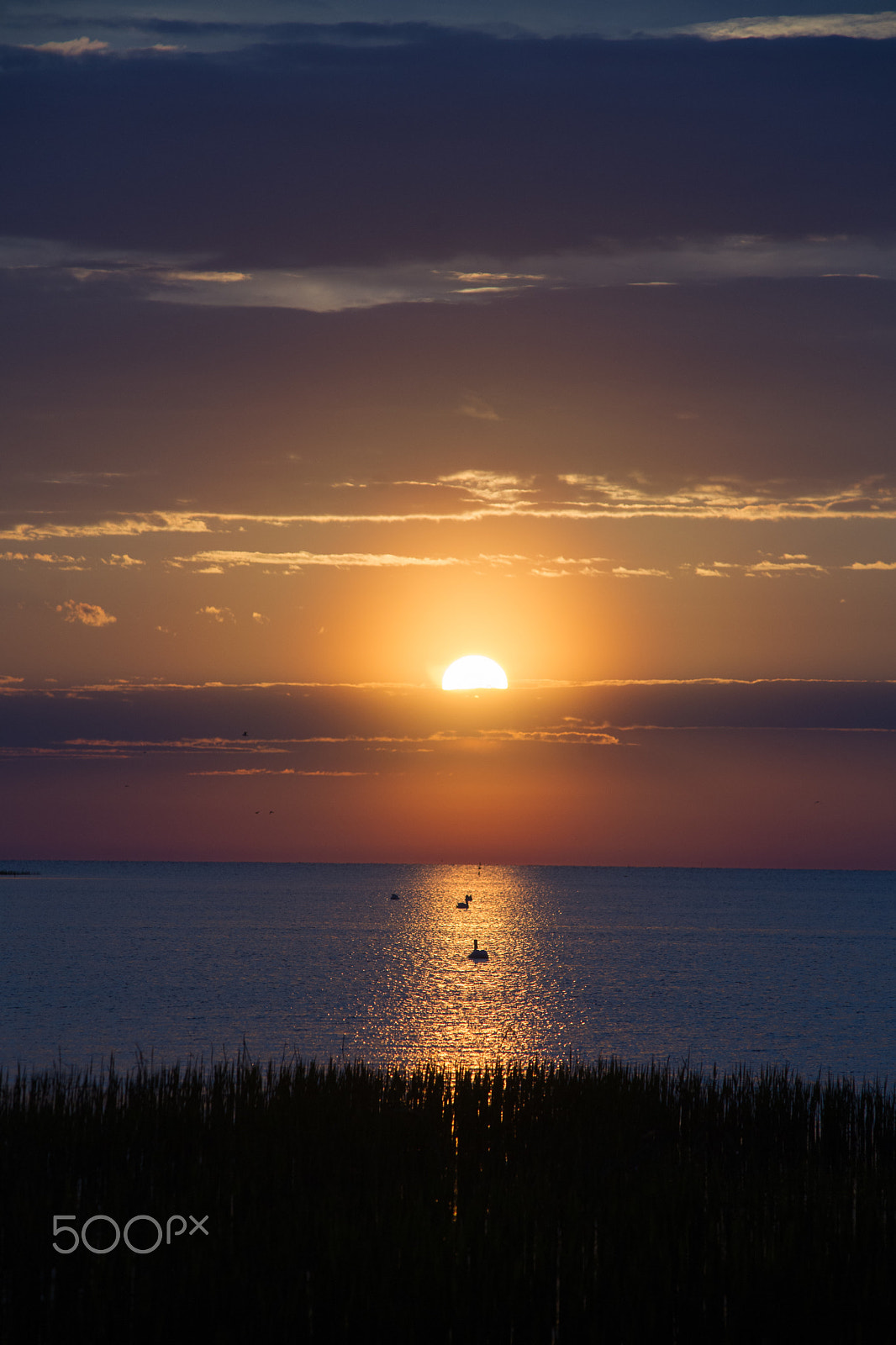 Minolta AF 80-200mm F2.8 HS-APO G sample photo. Sunrise photography