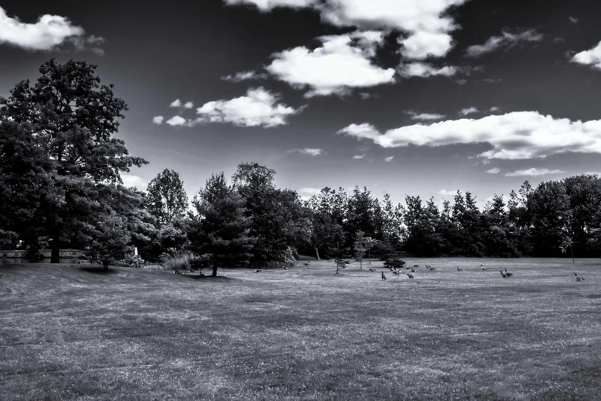 Fujifilm XC 16-50mm F3.5-5.6 OIS sample photo. Watch your step photography