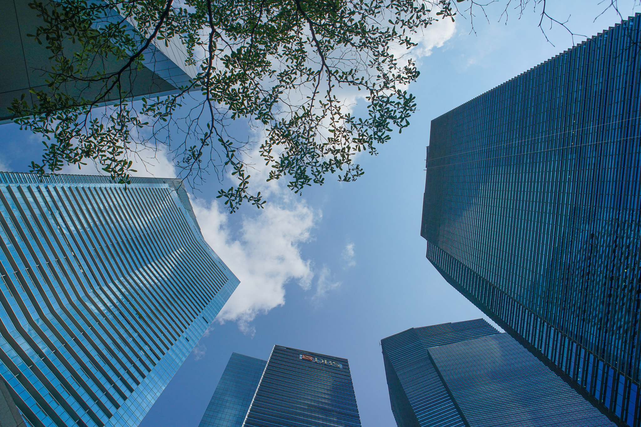 Sony a7R II + 24-70mm F2.8 G SSM sample photo. Giants in singapore financial center photography