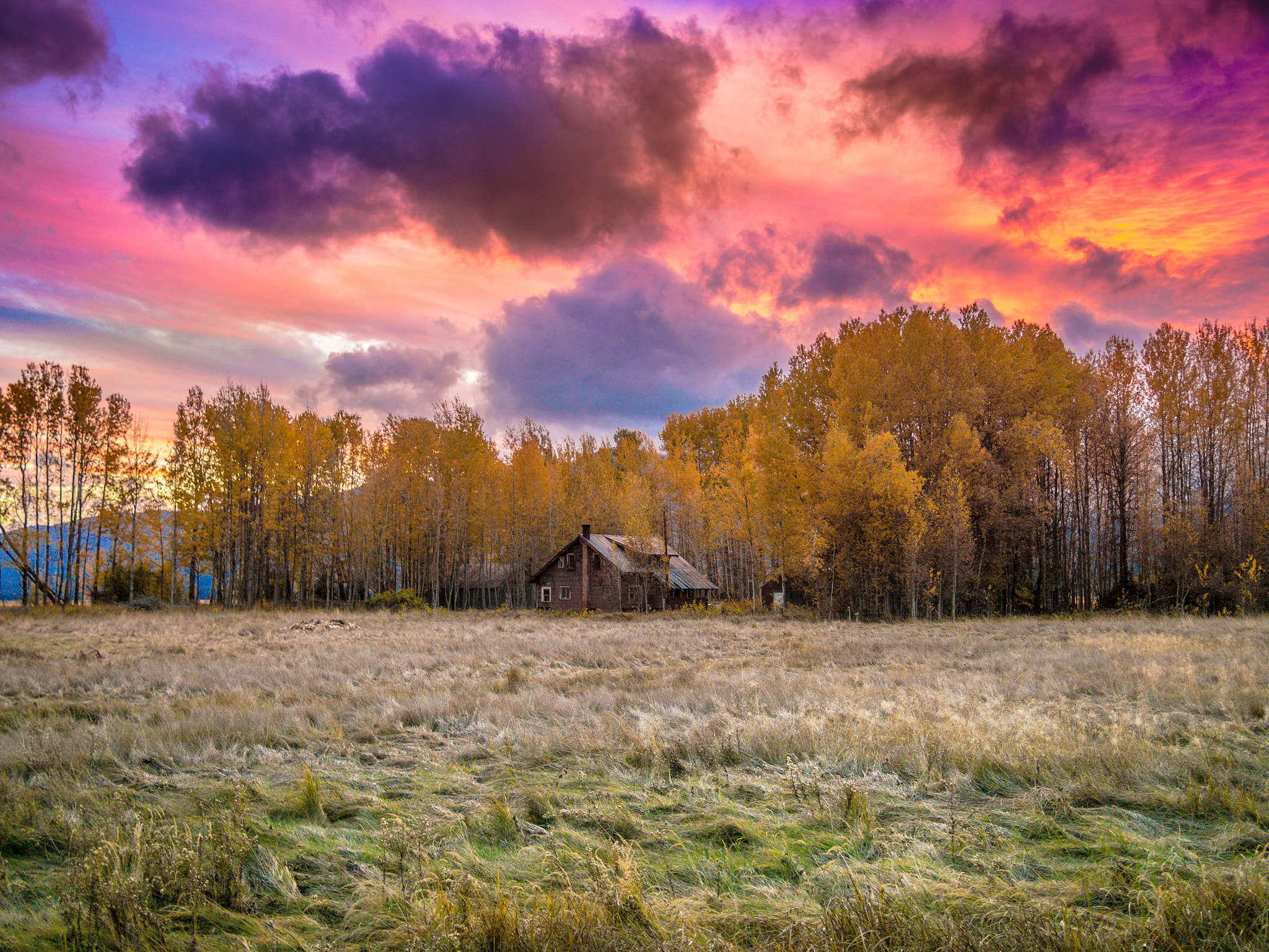 Olympus PEN E-PL6 + Panasonic Lumix G 20mm F1.7 ASPH sample photo. Sky on fire - a beautiful sunset among aspen in oregon photography