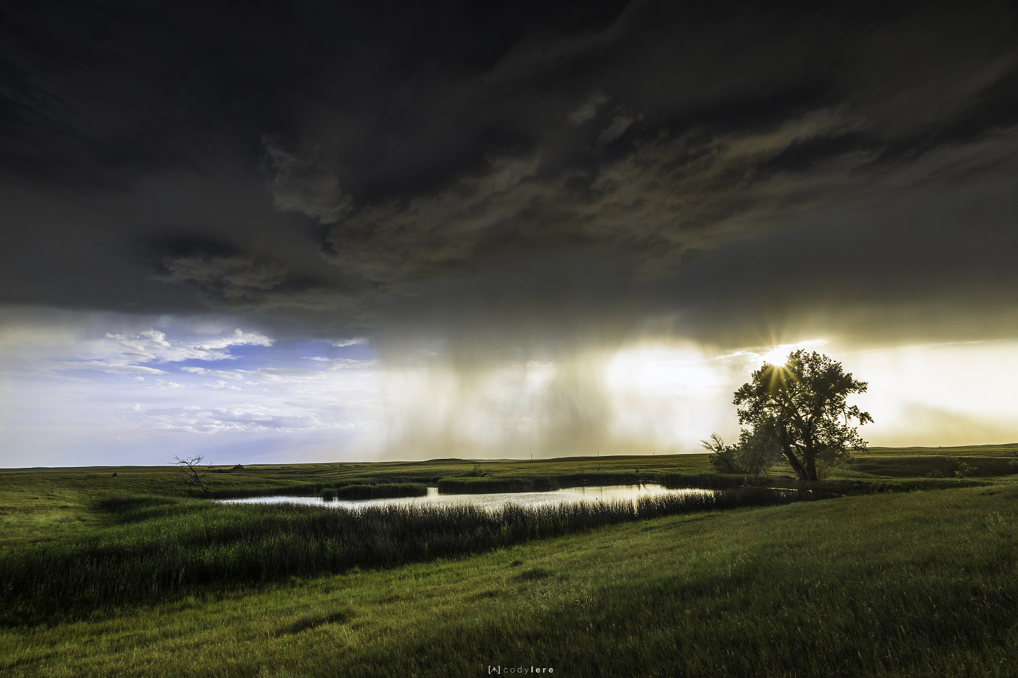 Canon EOS 6D + Canon EF 17-35mm f/2.8L sample photo. Darkness brings life photography