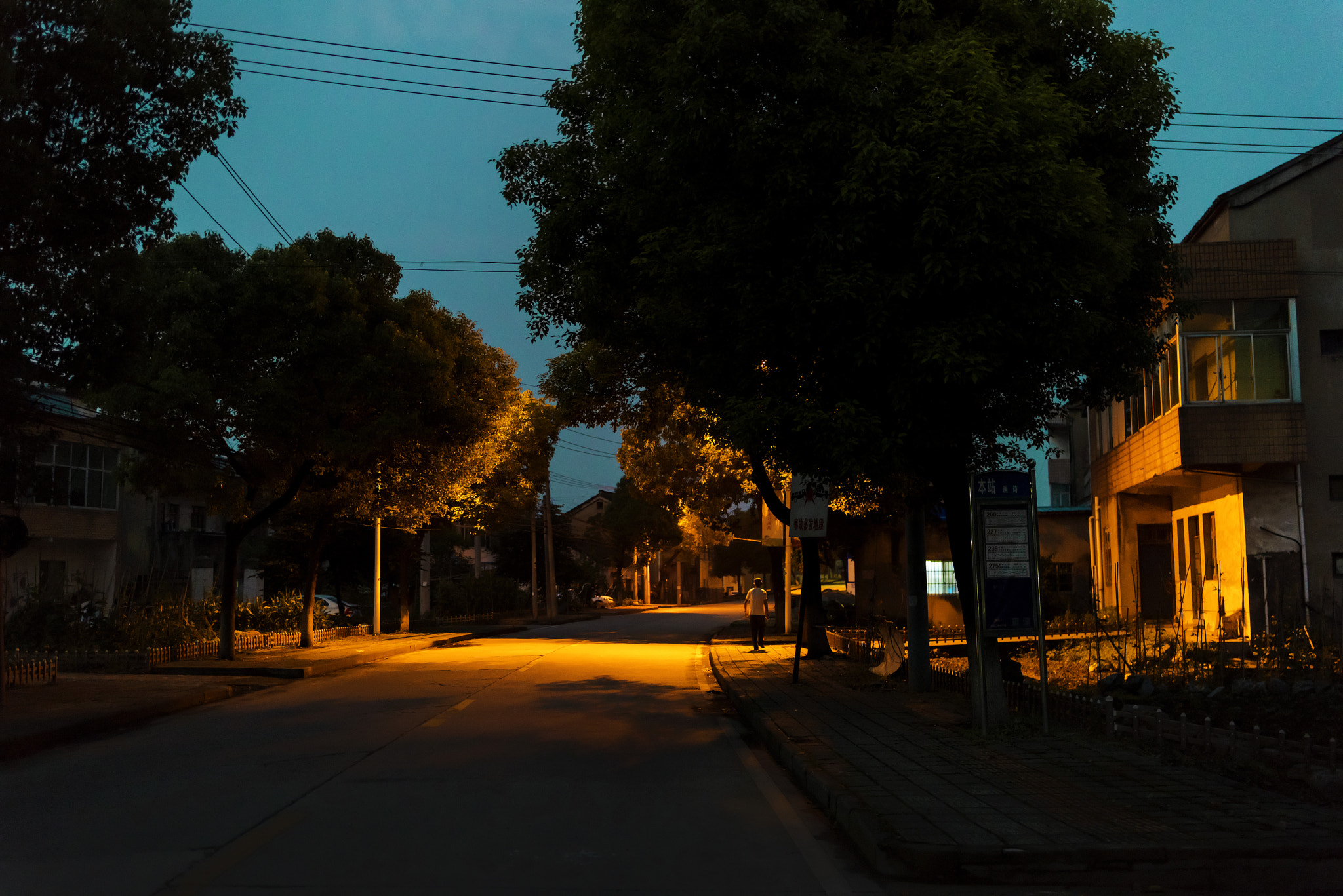 Tamron SP 35mm F1.8 Di VC USD sample photo