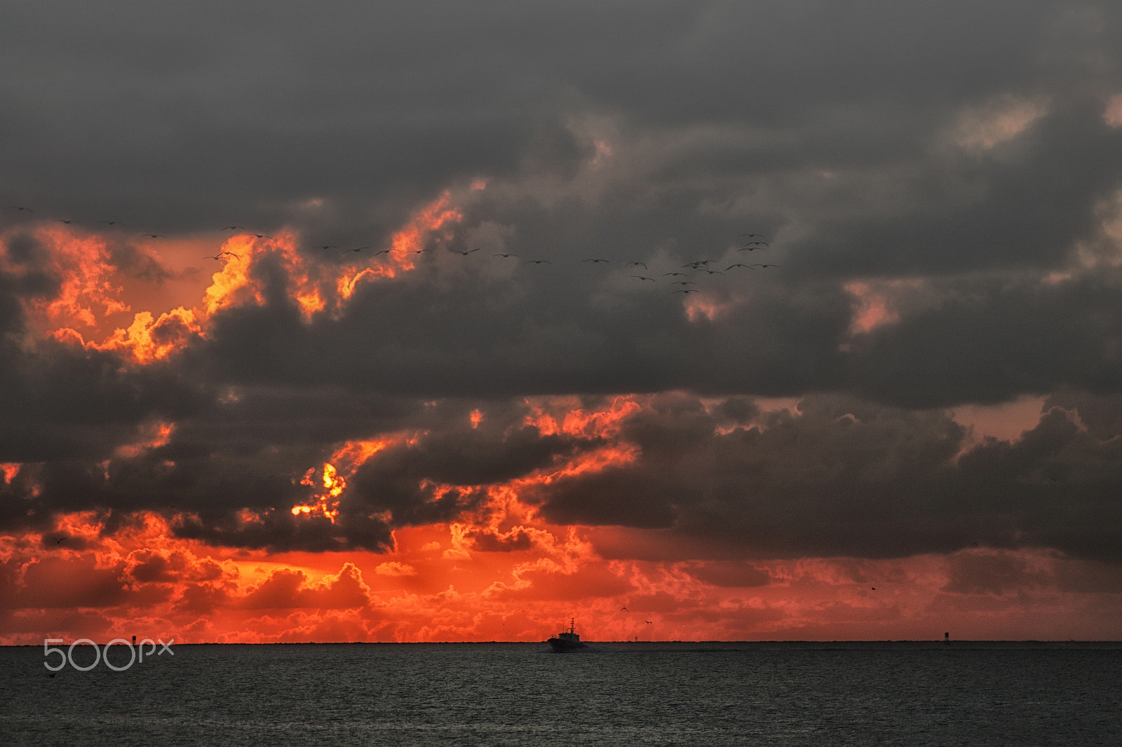 Canon EOS 500D (EOS Rebel T1i / EOS Kiss X3) sample photo. East beach sunrise, galveston, tx photography