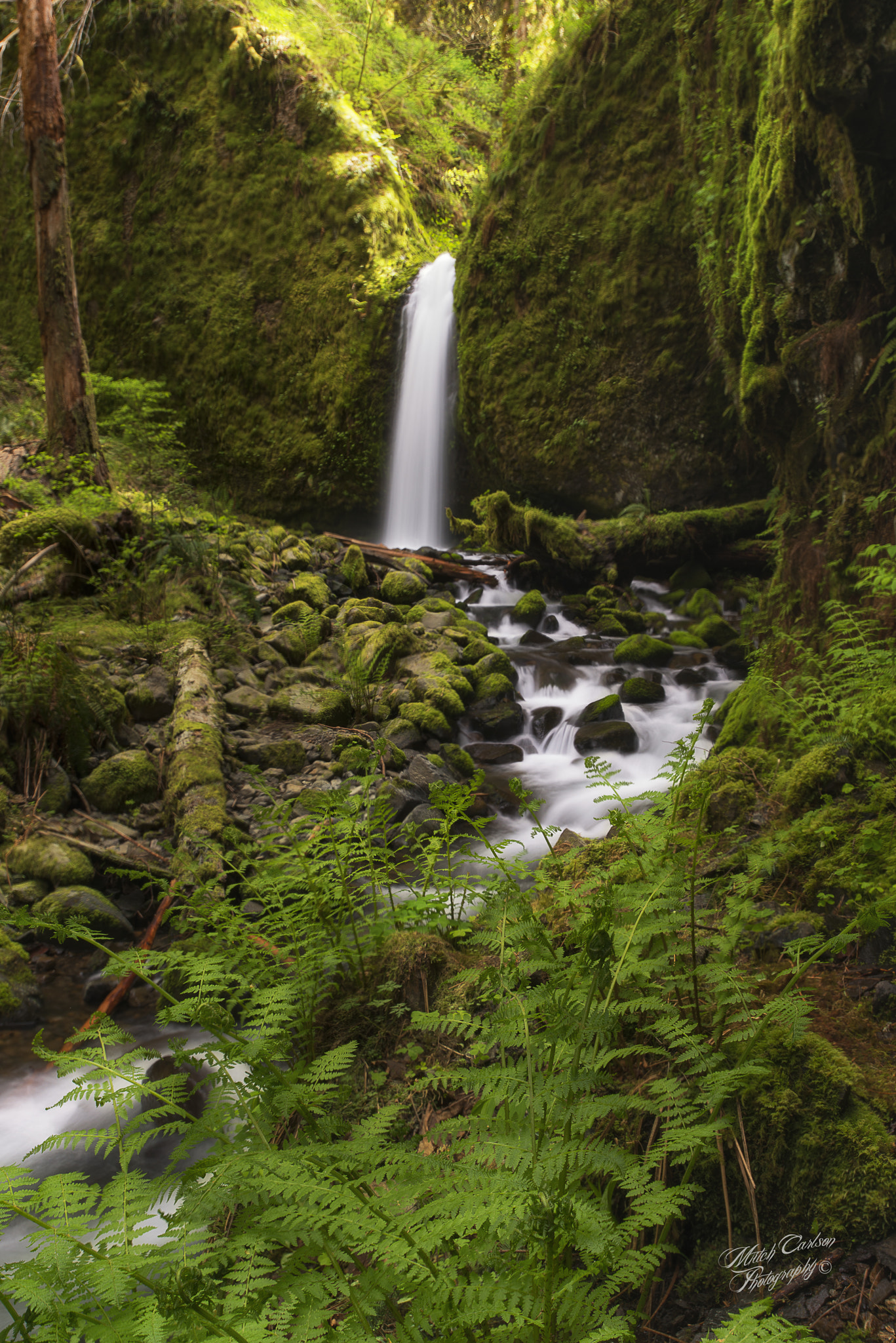Nikon AF-S Nikkor 18-35mm F3.5-4.5G ED sample photo. The grotto photography