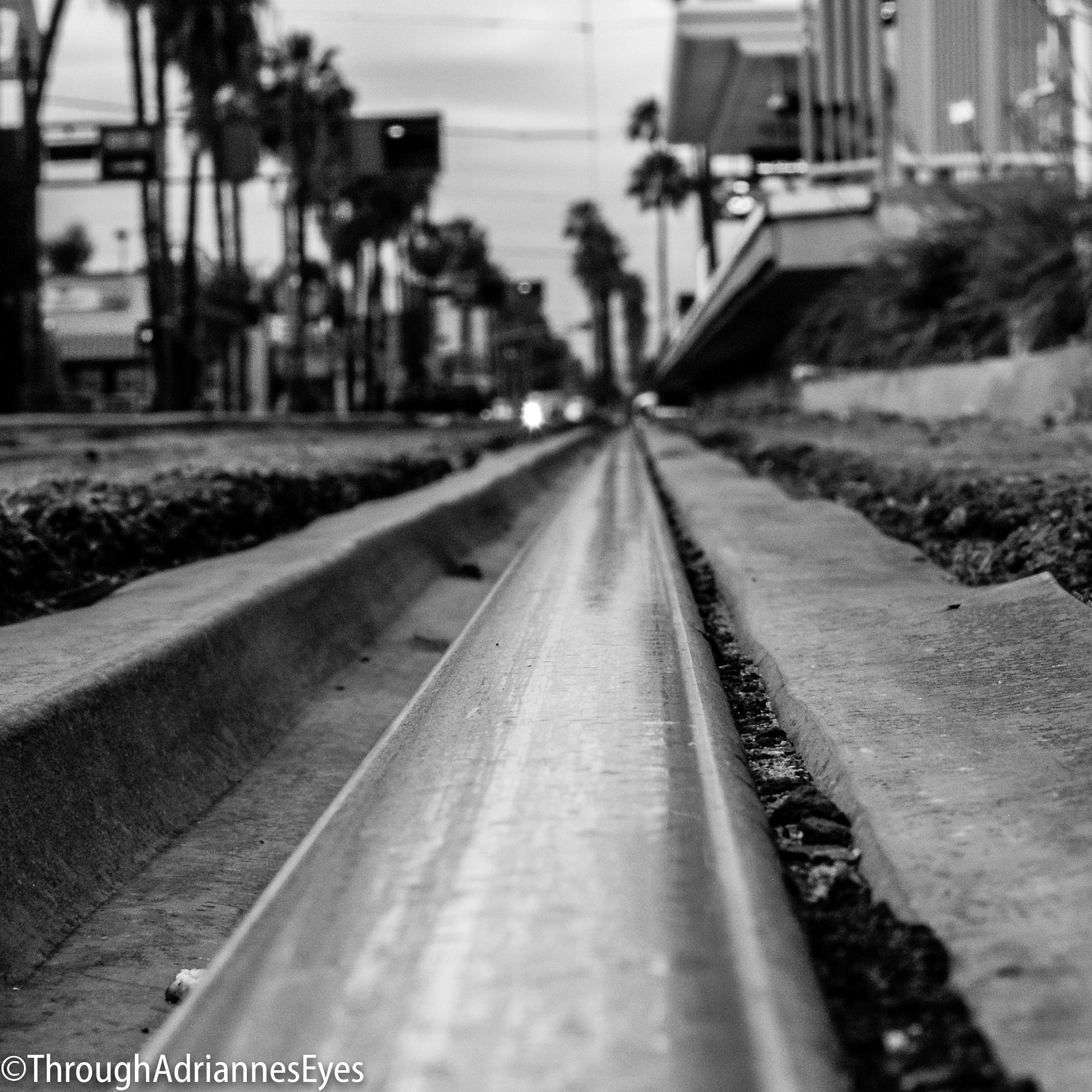 Nikon D80 + Nikon AF-S Nikkor 50mm F1.4G sample photo. Ride the rails photography