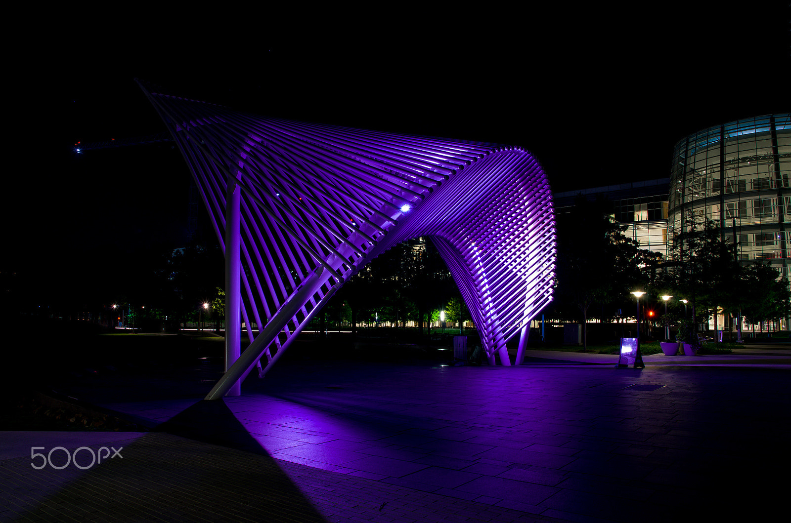 Sigma 17-70mm F2.8-4 DC Macro HSM | C sample photo. Myriad art photography