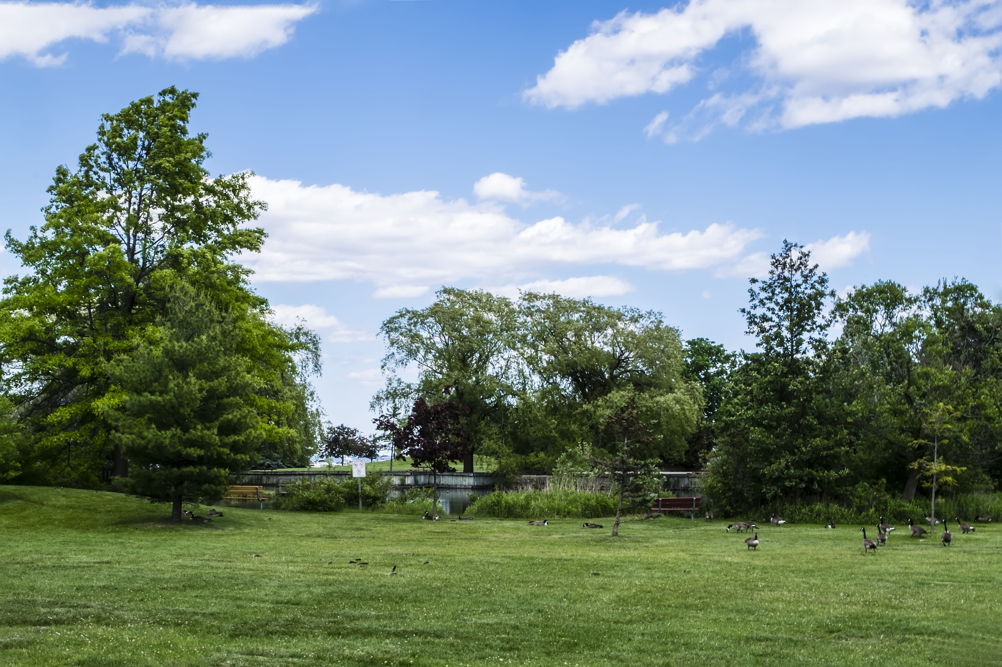 Fujifilm XC 16-50mm F3.5-5.6 OIS sample photo. Allgottaeat photography