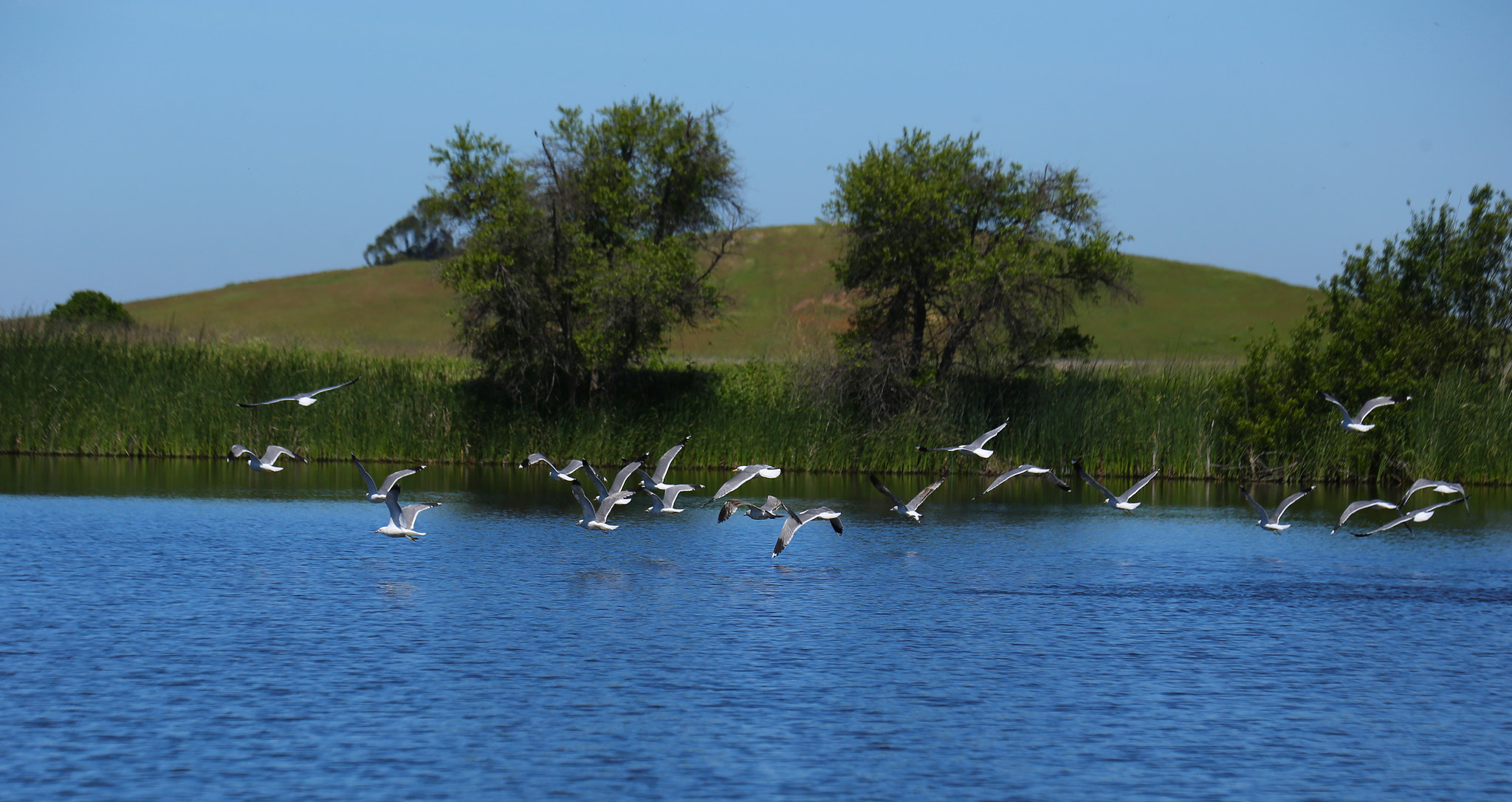 Canon EF 70-300mm F4-5.6L IS USM sample photo