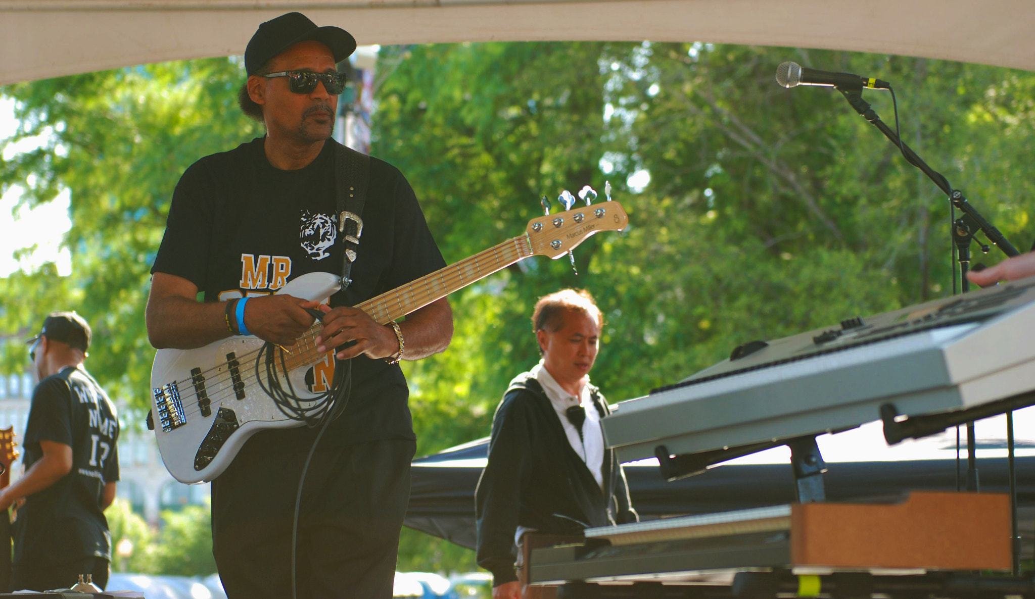 Nikon D80 sample photo. Chicago blues festival 2016 photography