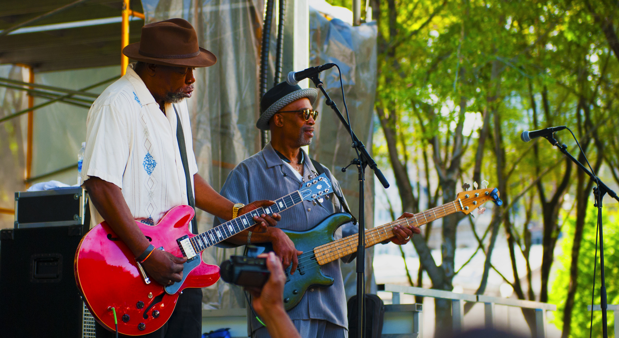 Nikon D80 sample photo. Chicago blues festival 2016 photography