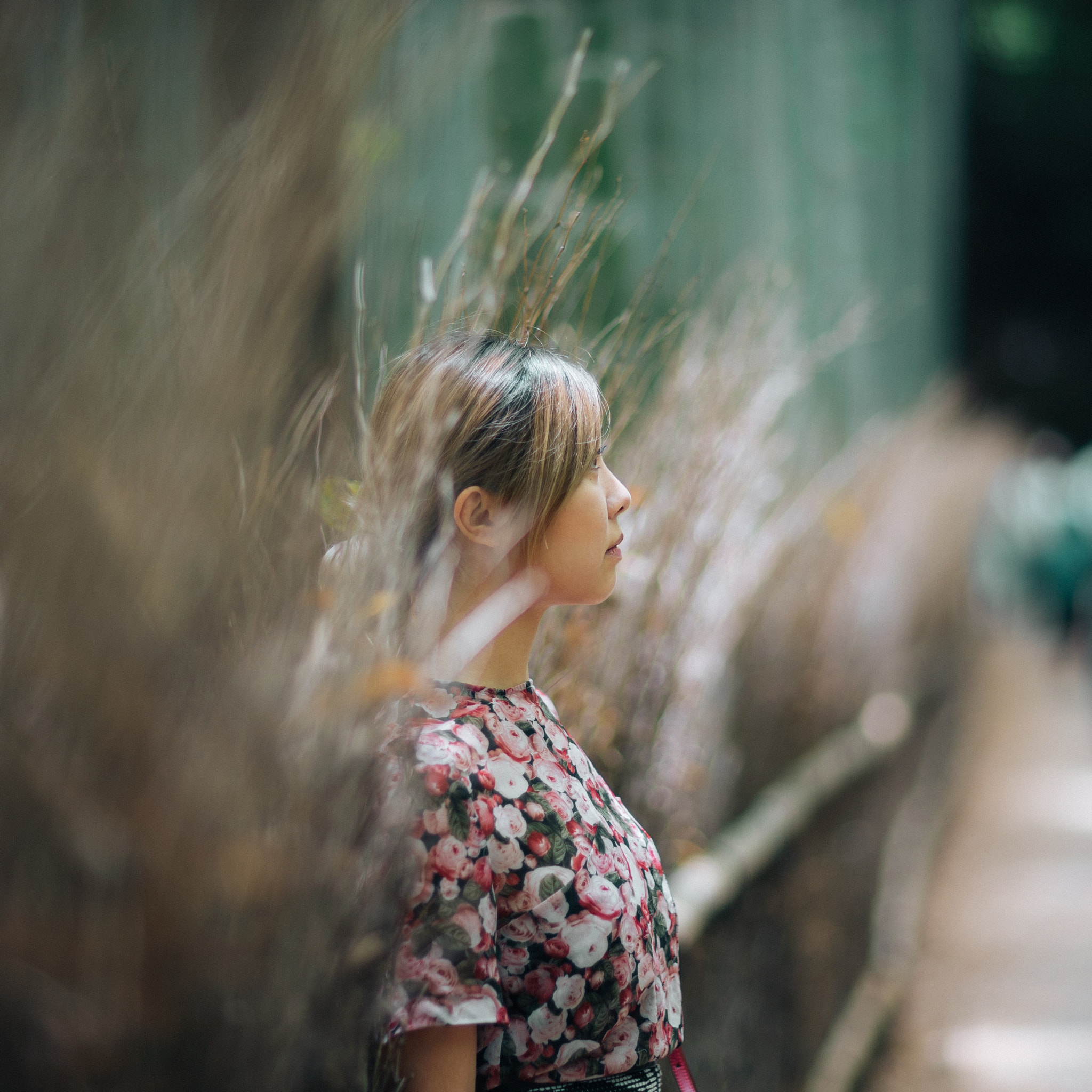 Sony a7S sample photo