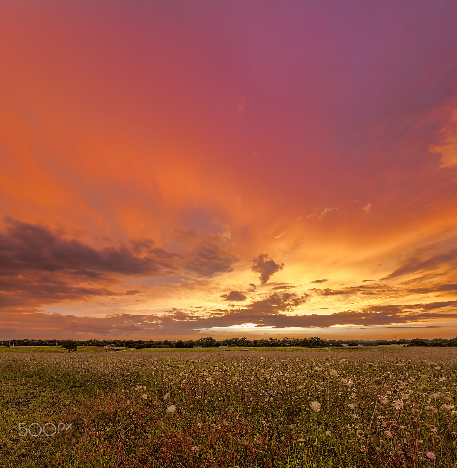 Sigma 10-20mm F4-5.6 EX DC HSM sample photo. A storm's aftermath.. photography
