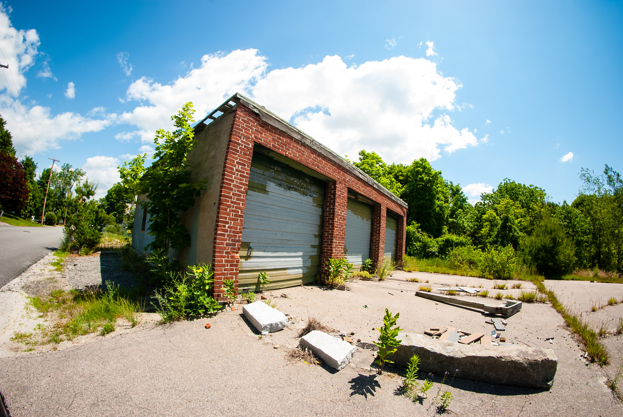 Nikon D80 + Samyang 8mm F3.5 Aspherical IF MC Fisheye sample photo. Sunnyside up photography