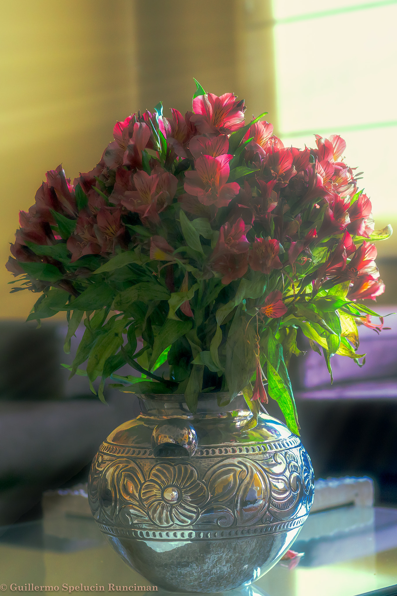 Sony ILCA-77M2 + Sony 50mm F1.4 sample photo. The still life of yolanda photography