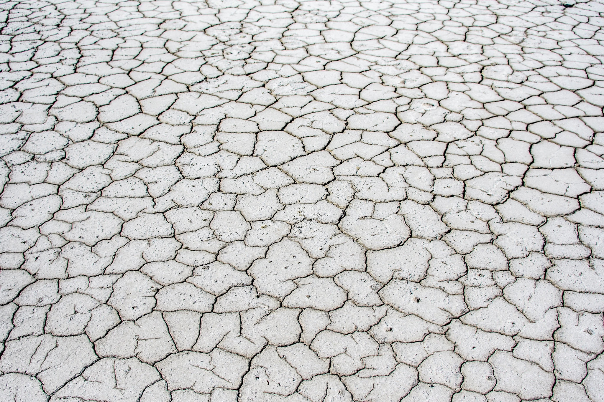 Nikon D500 sample photo. Salty photography