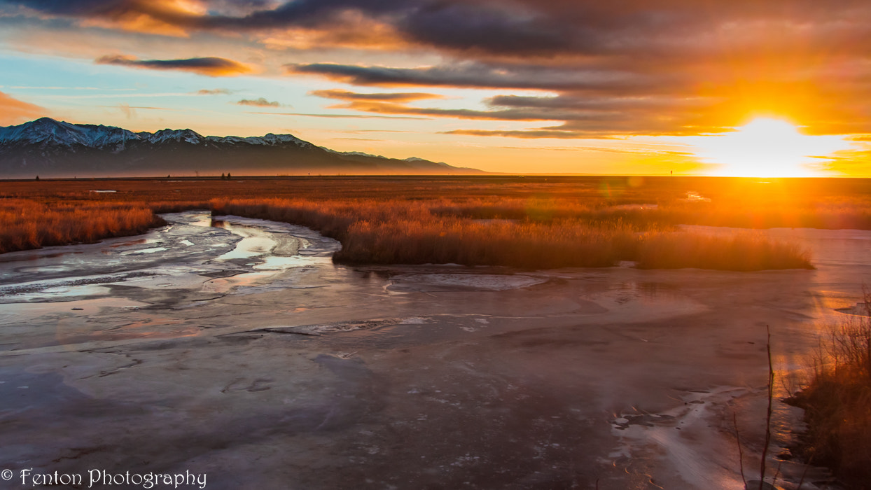 Canon EOS 650D (EOS Rebel T4i / EOS Kiss X6i) sample photo. Potter's marsh sunset photography