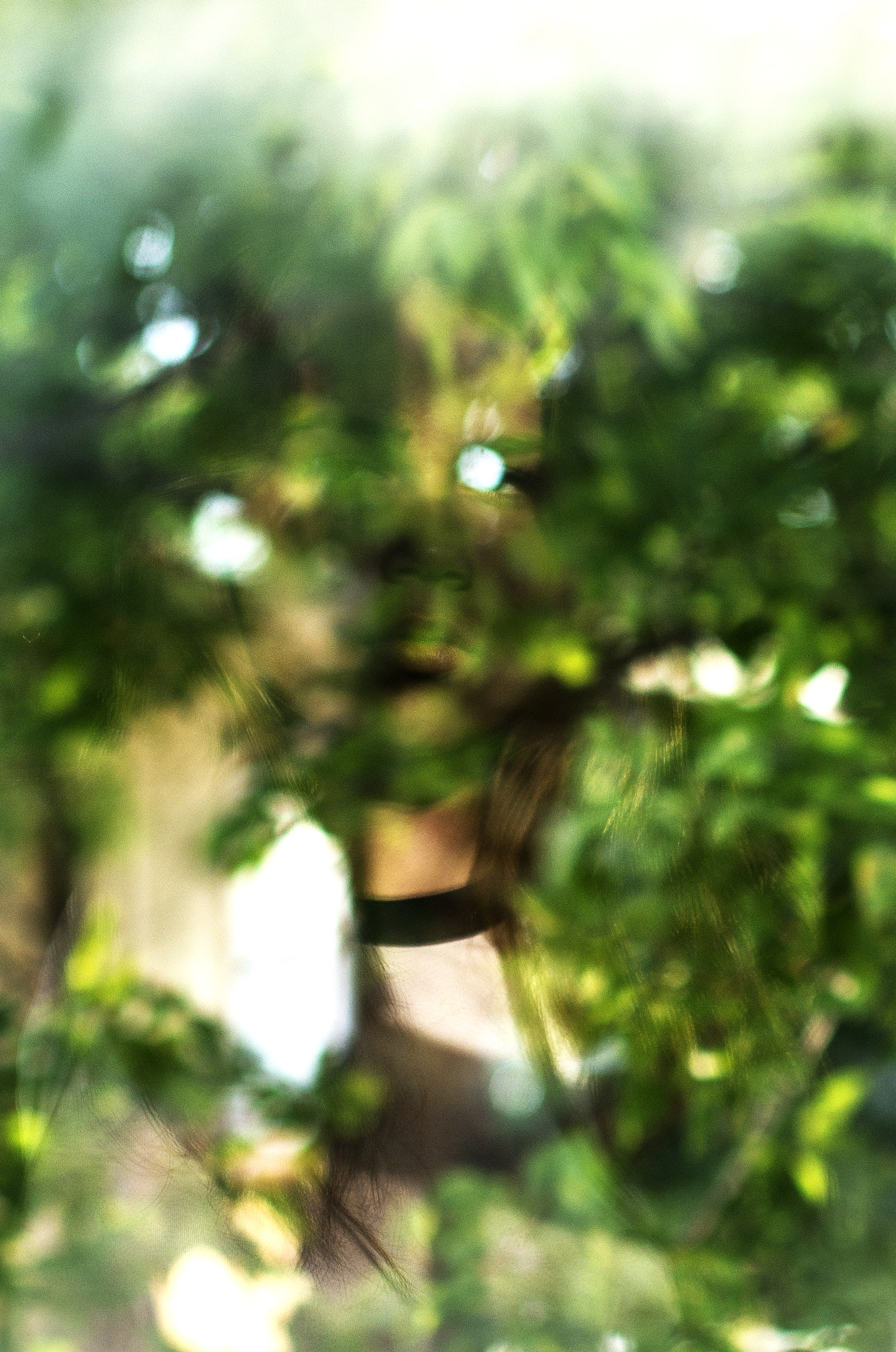 Sigma 70-200mm F2.8 EX DG Macro HSM II sample photo. Reflections photography