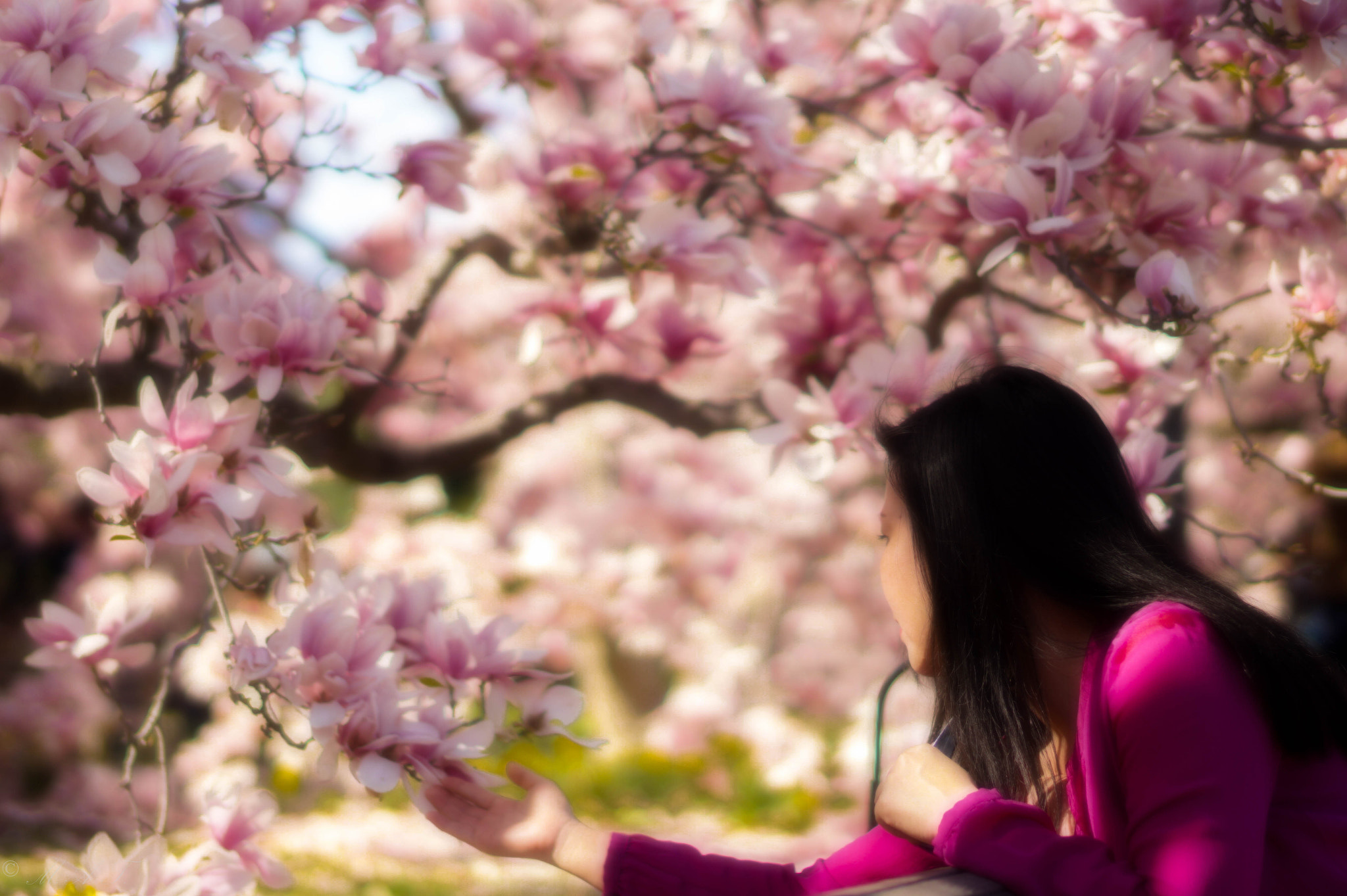 Sony Planar T* 50mm F1.4 ZA SSM sample photo. The native of washington dc photography