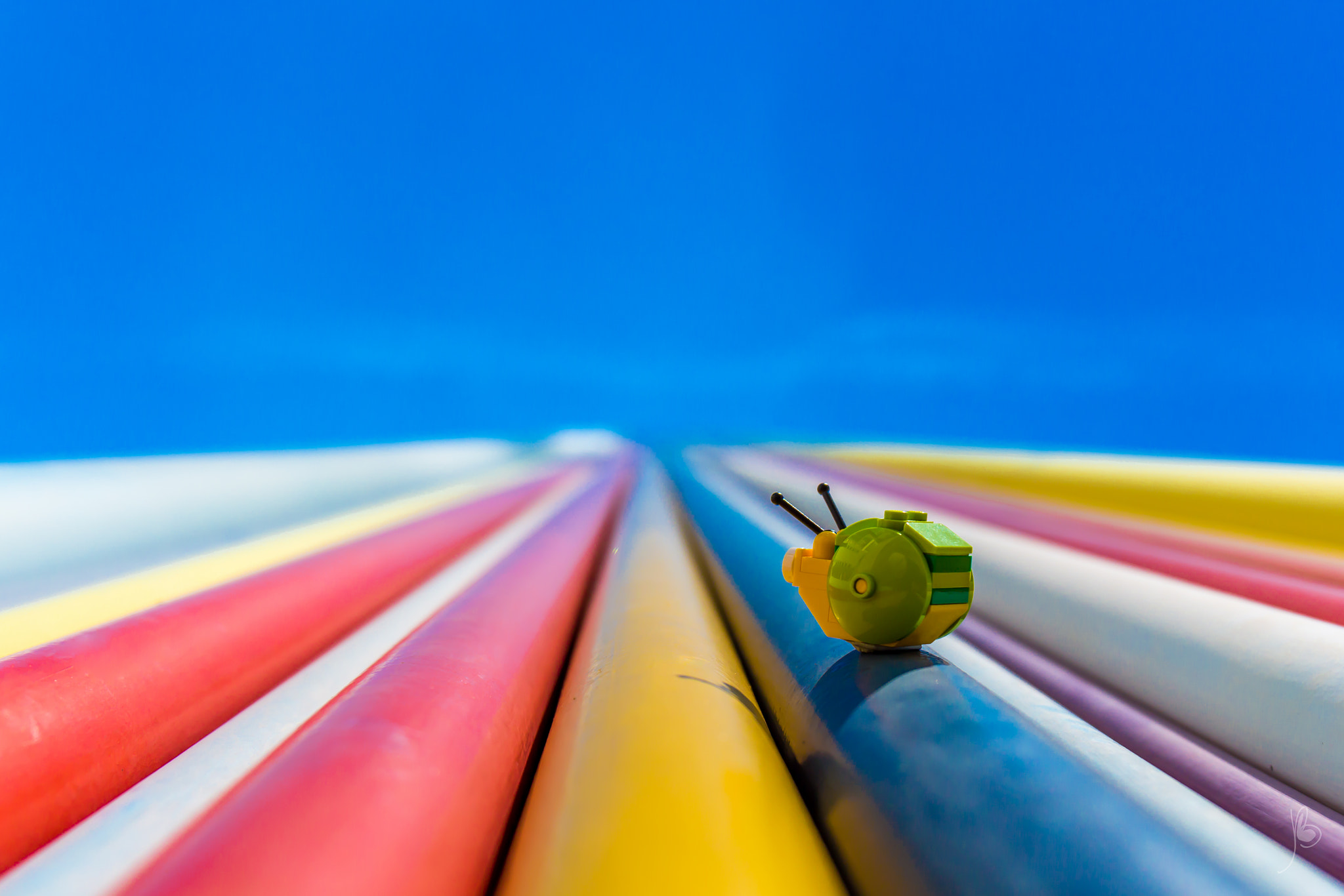 Canon EF 24-70mm F4L IS USM sample photo. A snail's life (3) - moretti photography