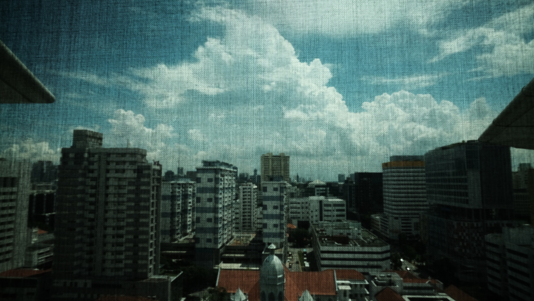 windowblinds