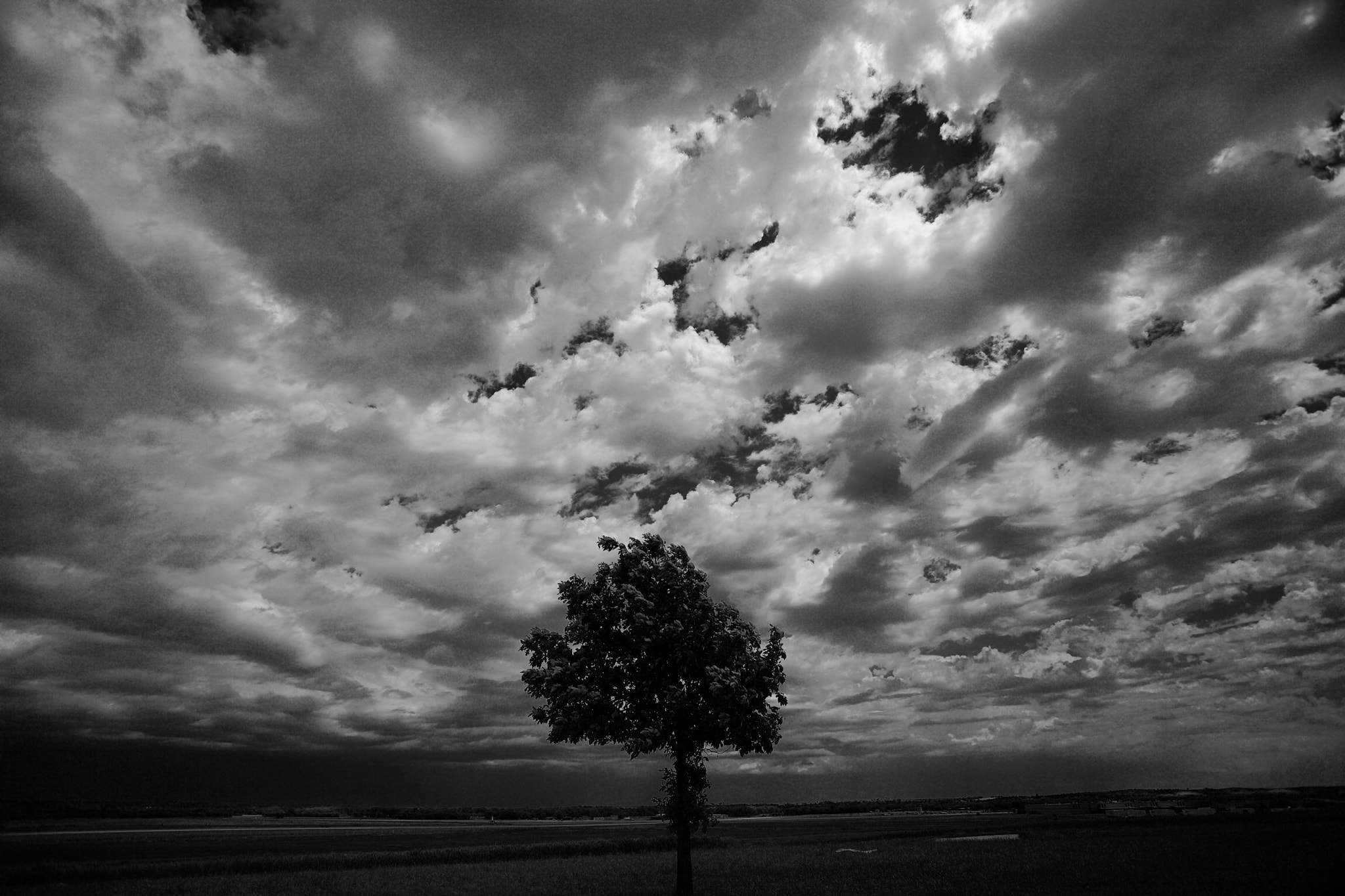 Canon EOS 5D + Canon EF 16-35mm F2.8L USM sample photo. Tree photography