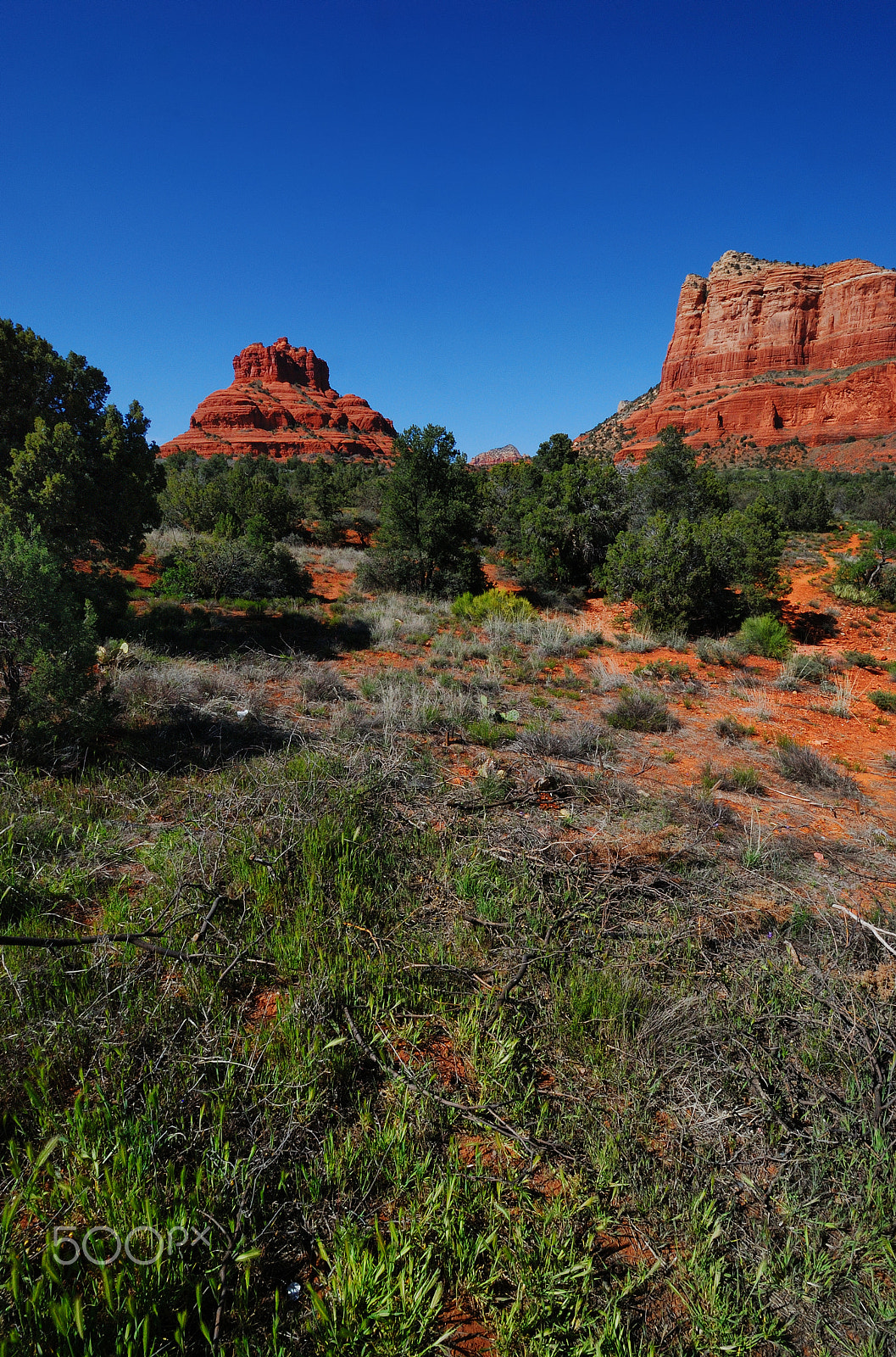 Nikon D80 sample photo. Bell rock in the distance photography