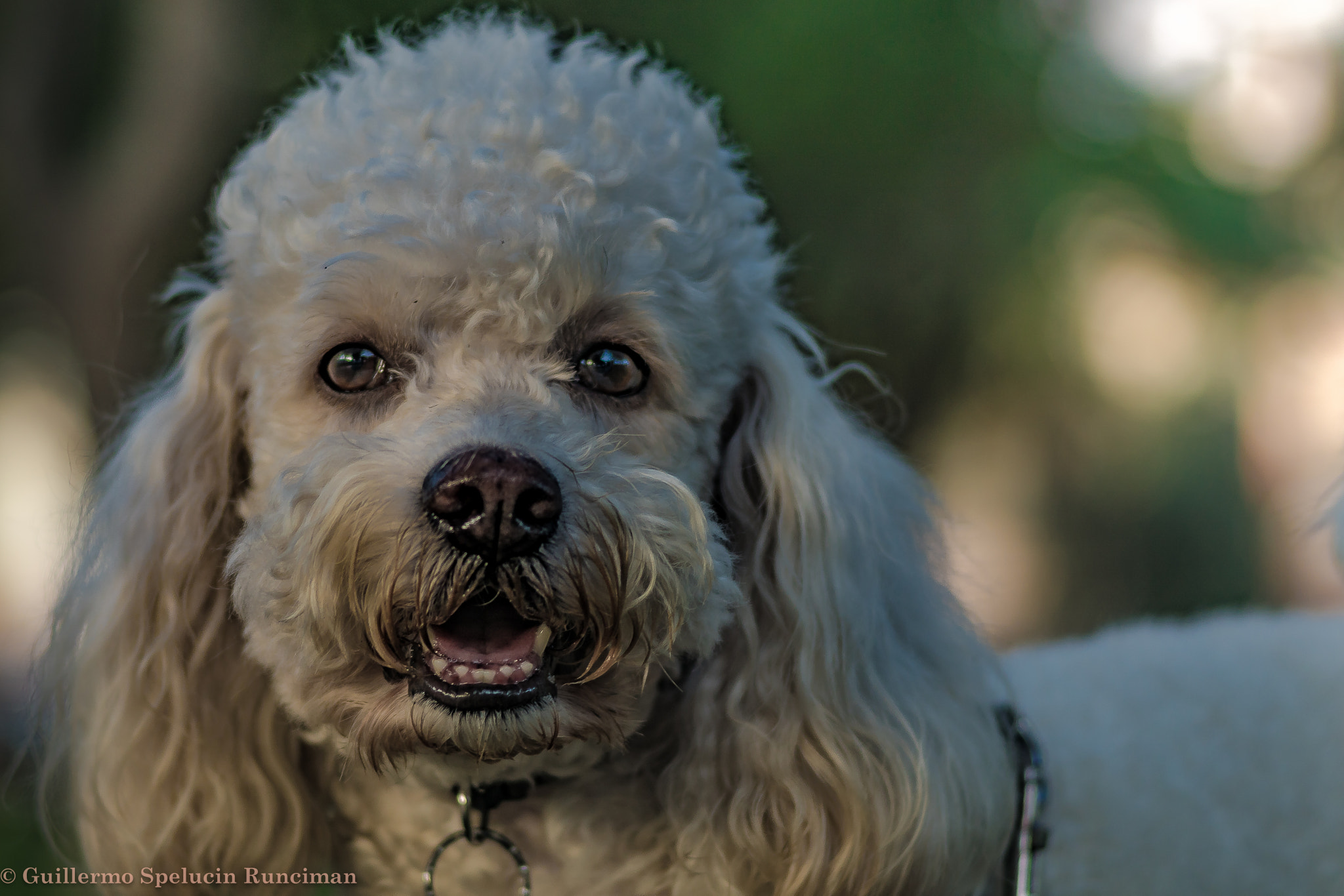 Sony ILCA-77M2 + Sony 85mm F2.8 SAM sample photo. Totto photography