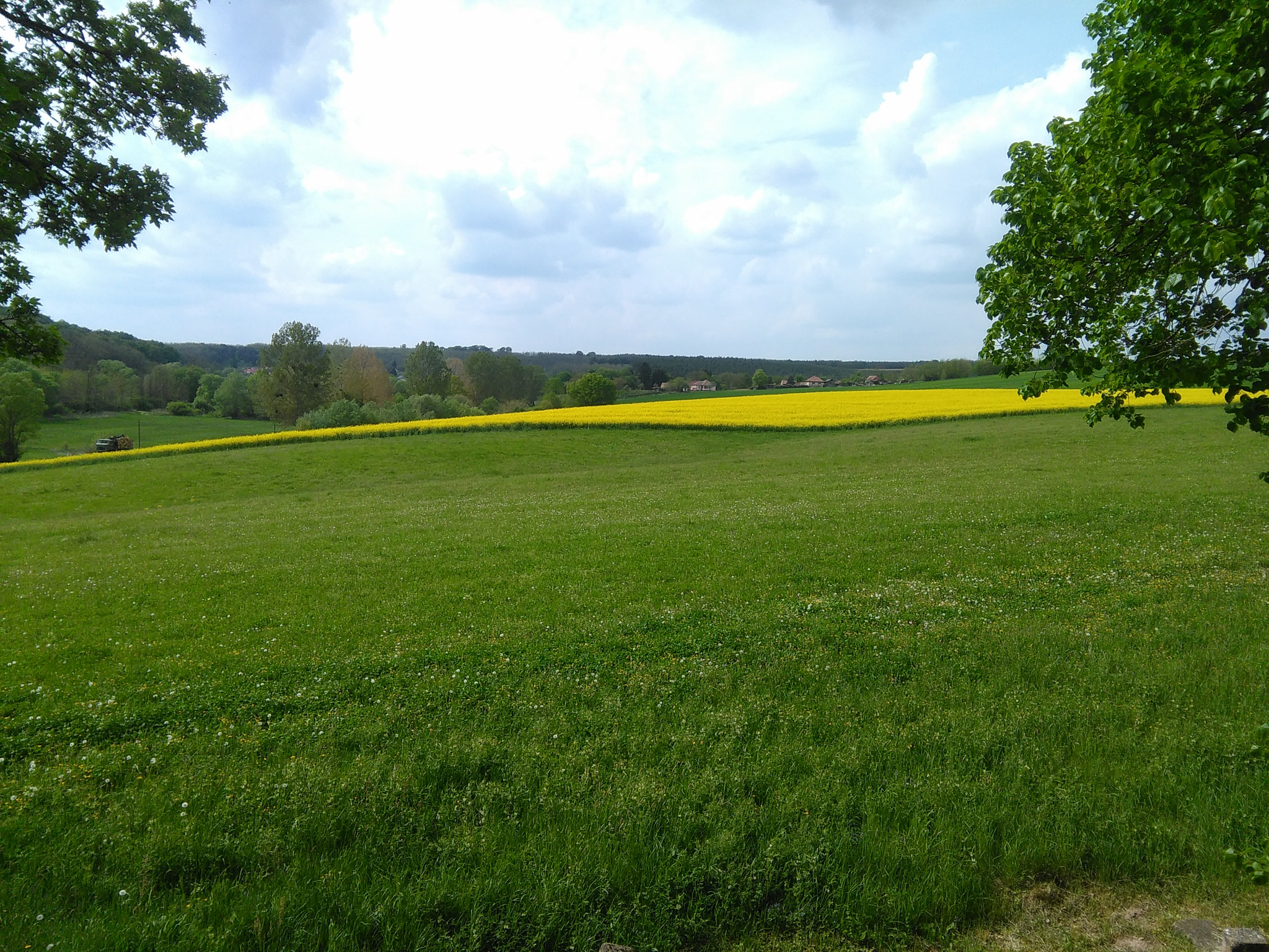 HUAWEI G620S-L01 sample photo. Rape photography