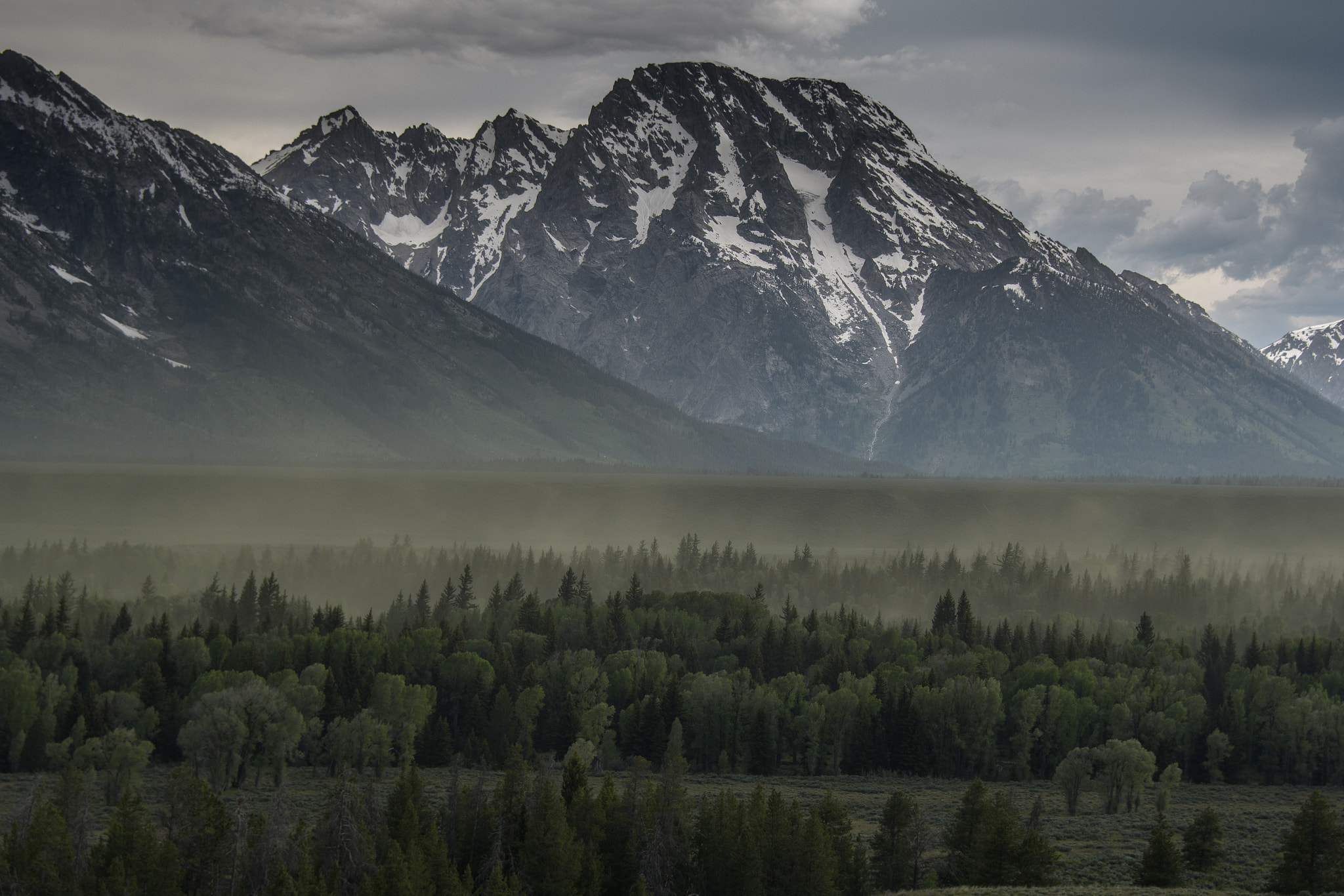 Nikon D500 sample photo. Green mist photography