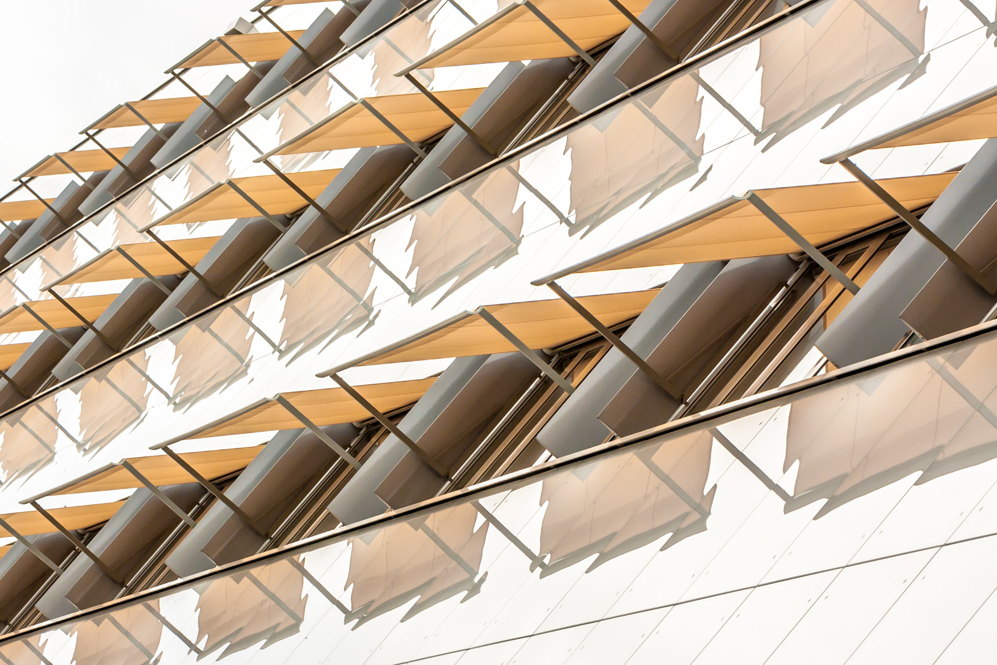 Canon EOS 1000D (EOS Digital Rebel XS / EOS Kiss F) sample photo. "reflective blinds..." photography