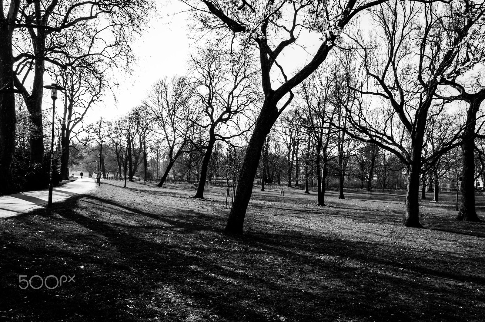 Pentax smc DA 18-55mm F3.5-5.6 ED AL II (IF) sample photo. "black and white" photography