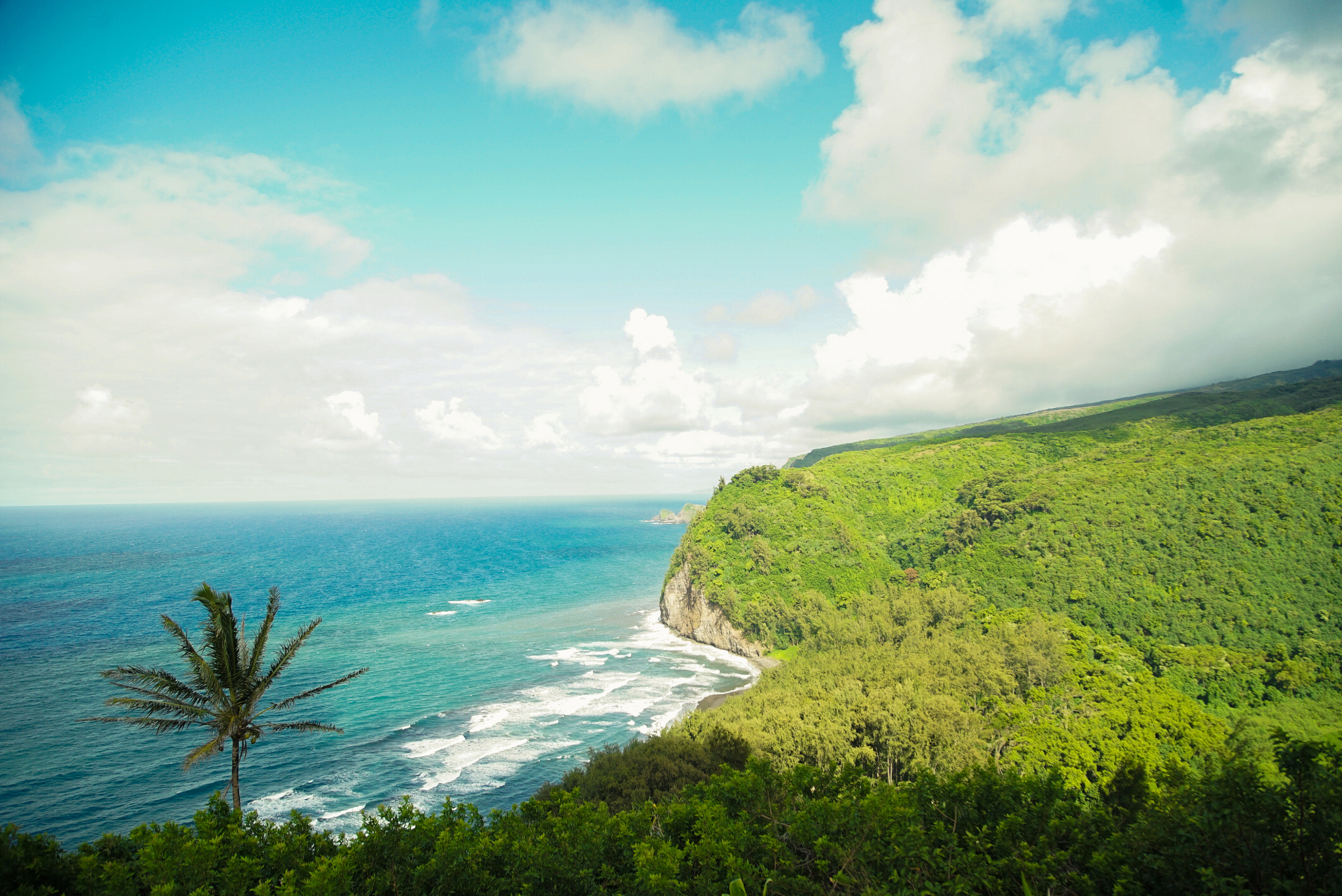 Sony a7S II + 24-105mm F4 G SSM OSS sample photo. Pololu valley lookout photography
