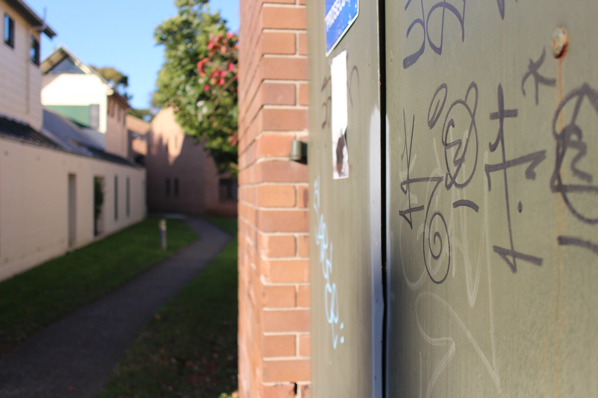 Canon EF 24mm F2.8 IS USM sample photo. Green door with graffiti photography