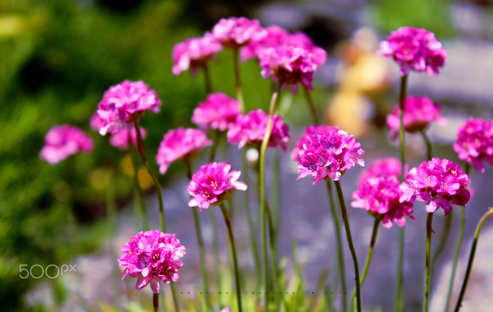 Canon EF-S 18-55mm F3.5-5.6 IS sample photo. Warm and sunny... photography
