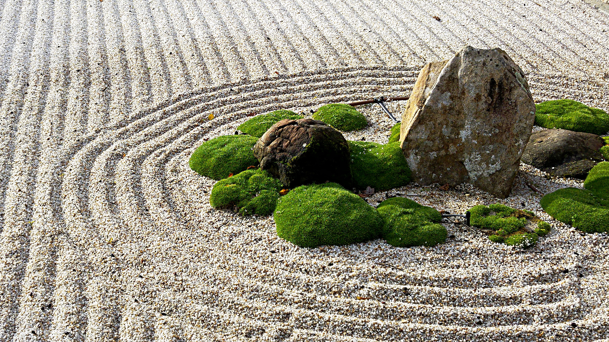 LG H815T sample photo. Japanese garden  photography