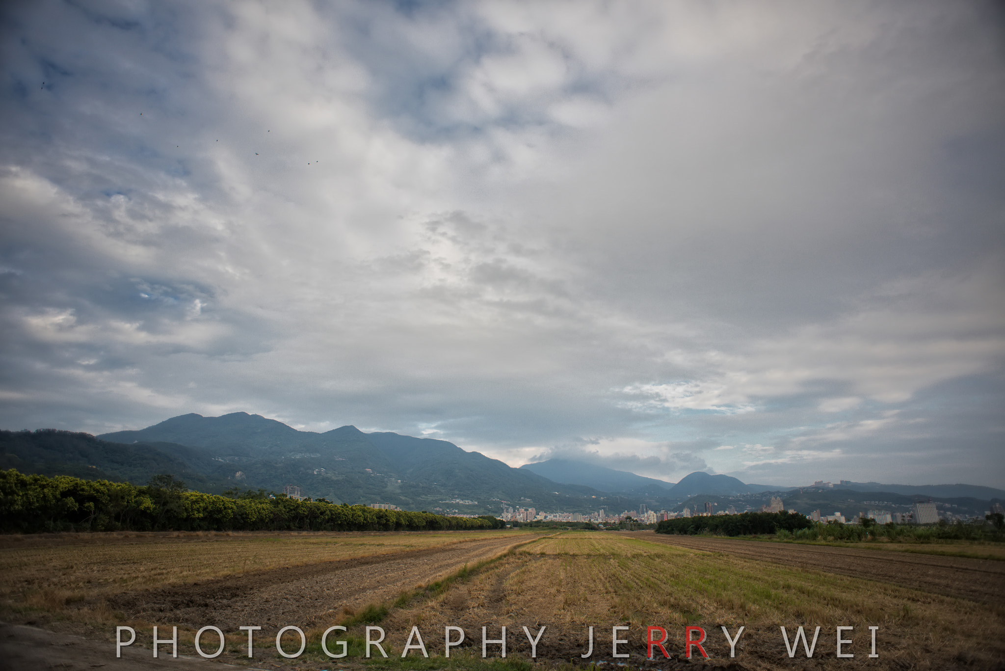 Nikon D810 + Nikon AF Nikkor 20mm F2.8D sample photo. Dsc_2254-1.jpg photography