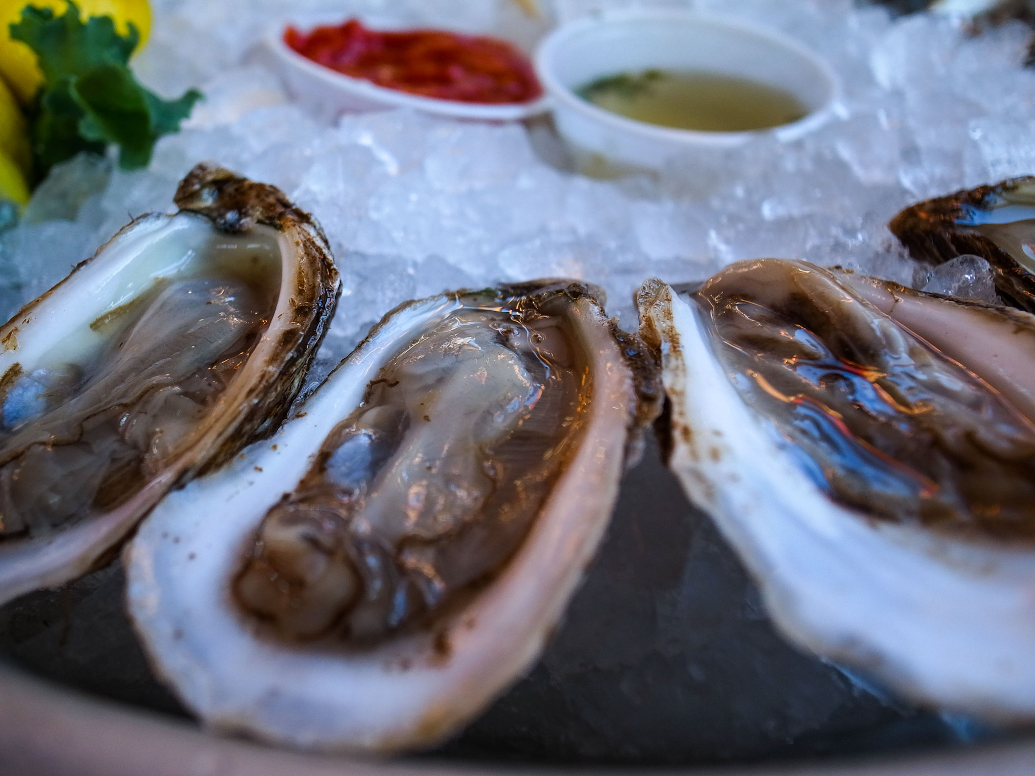 RICOH GR LENS sample photo. Fresh eastern oysters photography