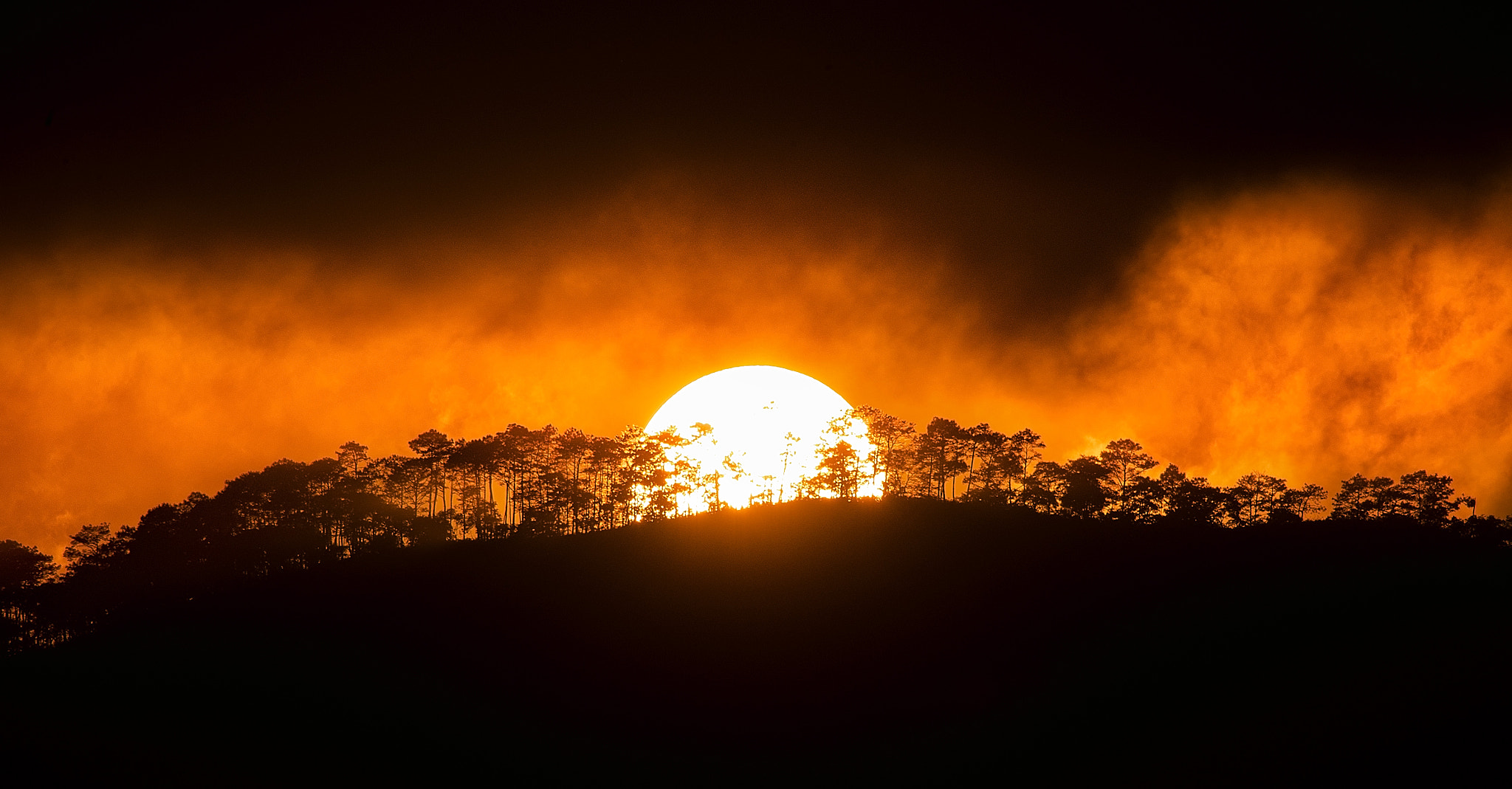 150-600mm F5-6.3 DG OS HSM | Contemporary 015 sample photo. Burning sun photography